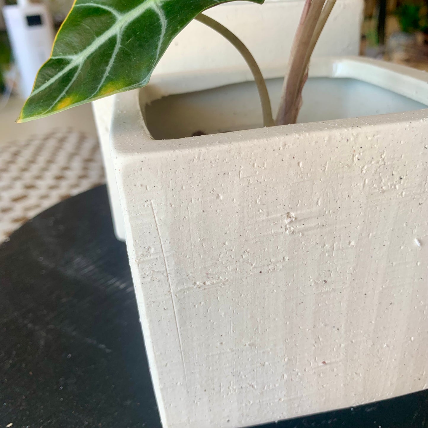 Square White Planter