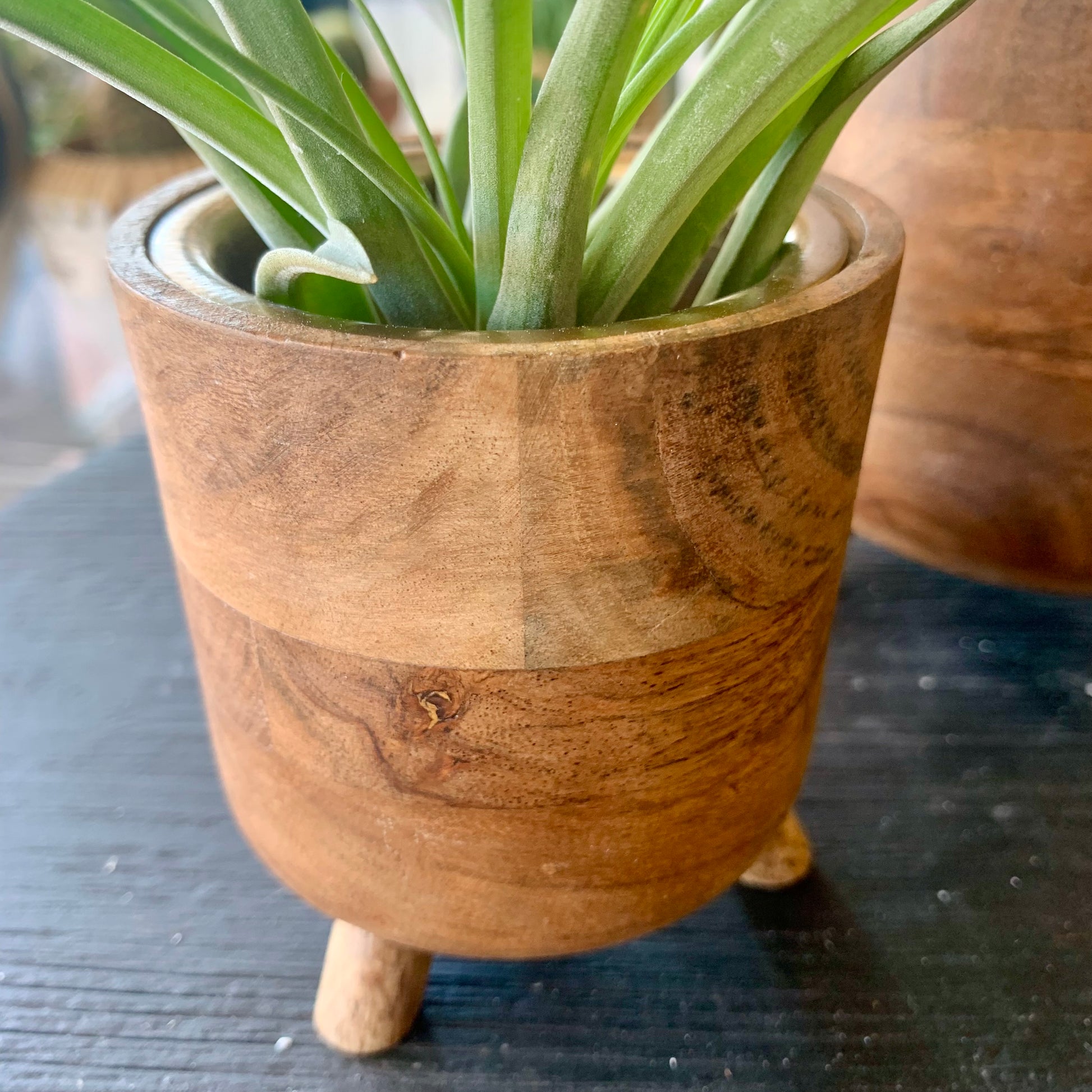 Small Footed Air Plant Holder