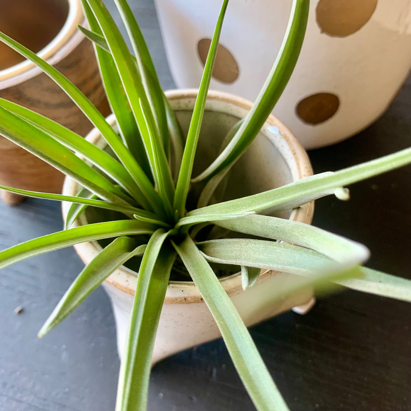 Mini Pot