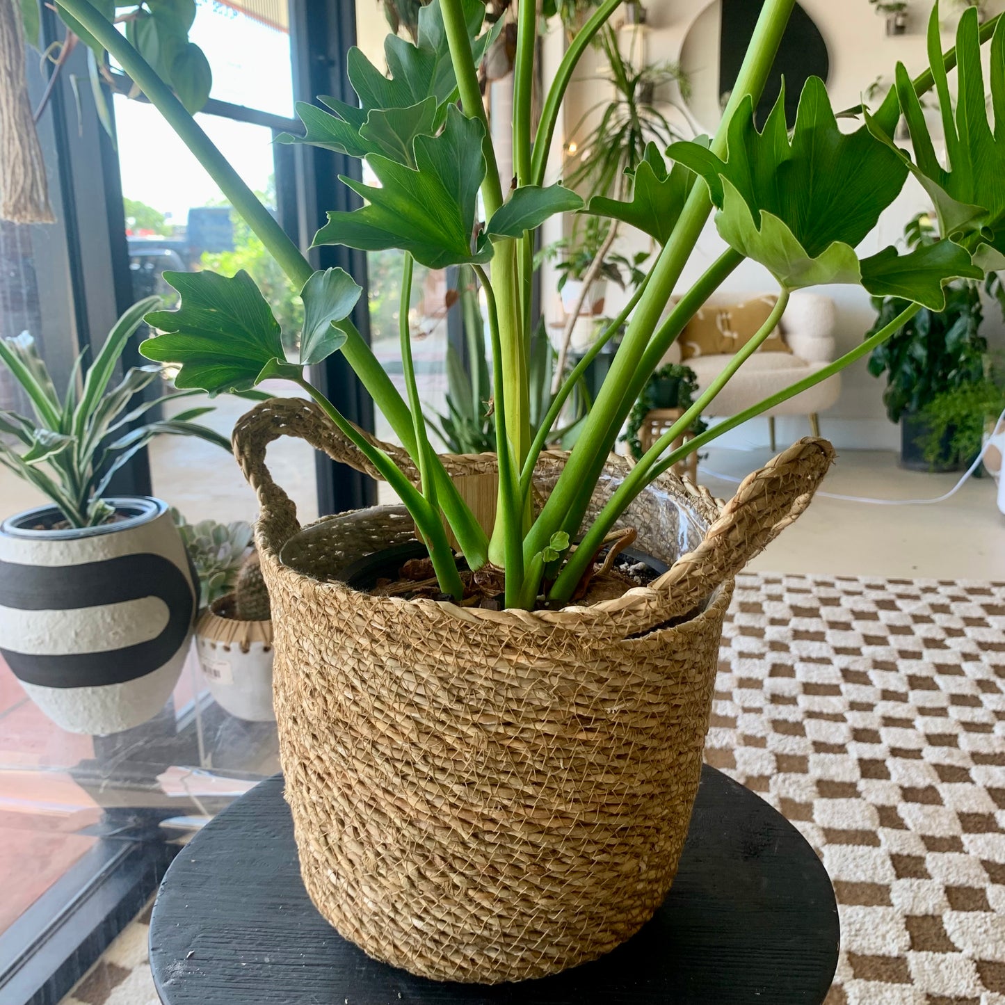 Natural Weave Basket