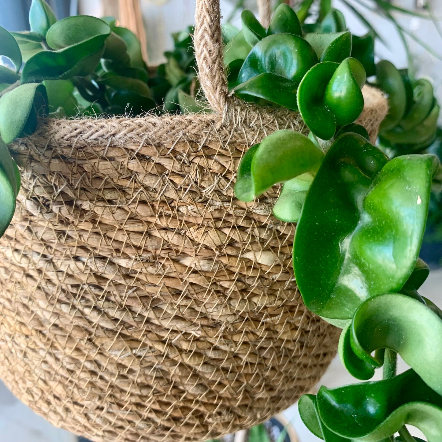 Natural Weave Hanging Basket