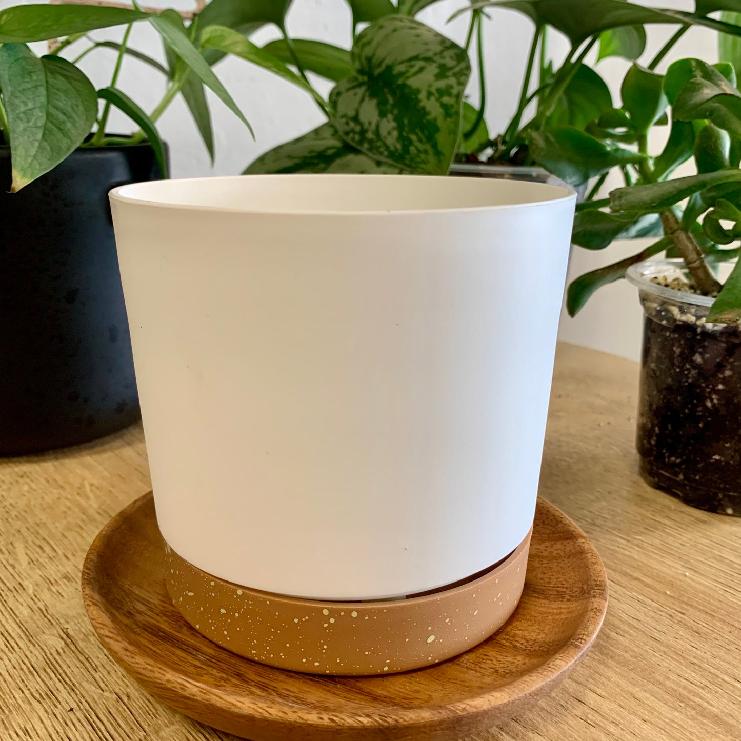 Plastic Pot with Drainage Tray