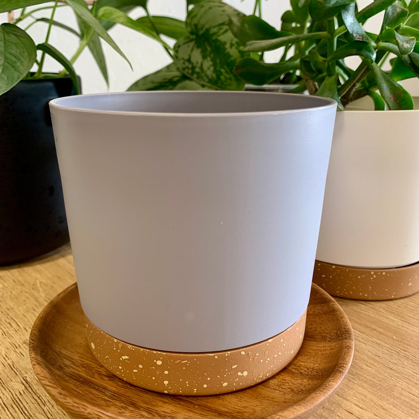 Plastic Pot with Drainage Tray