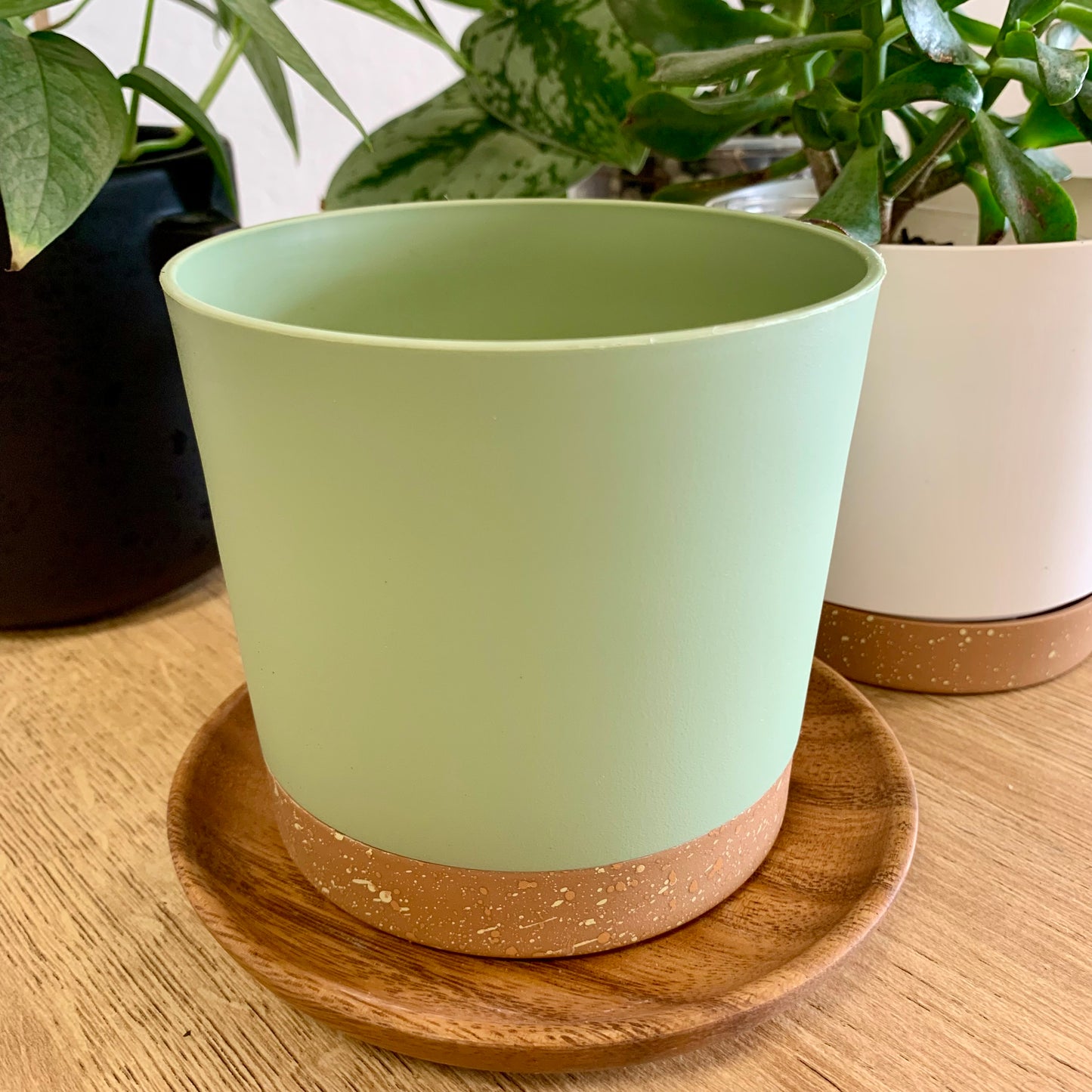 Plastic Pot with Drainage Tray