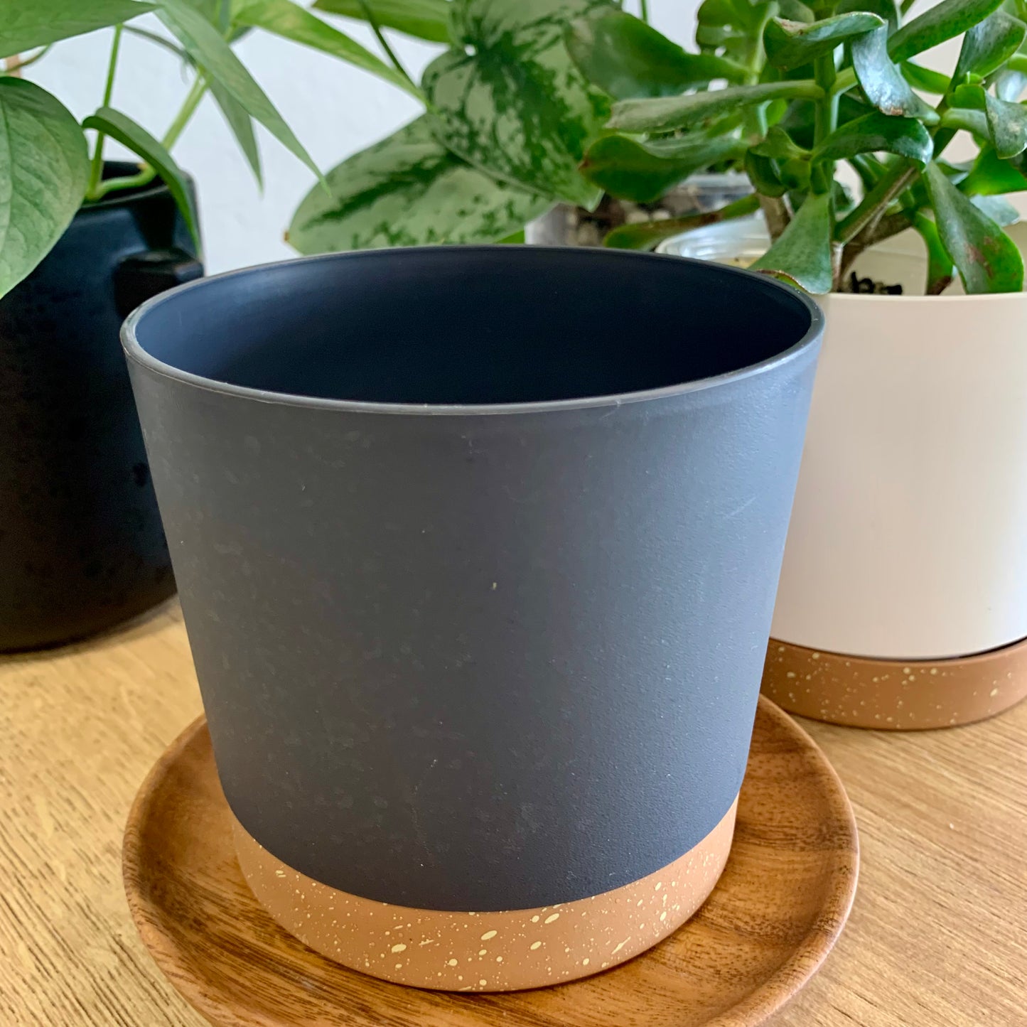 Plastic Pot with Drainage Tray