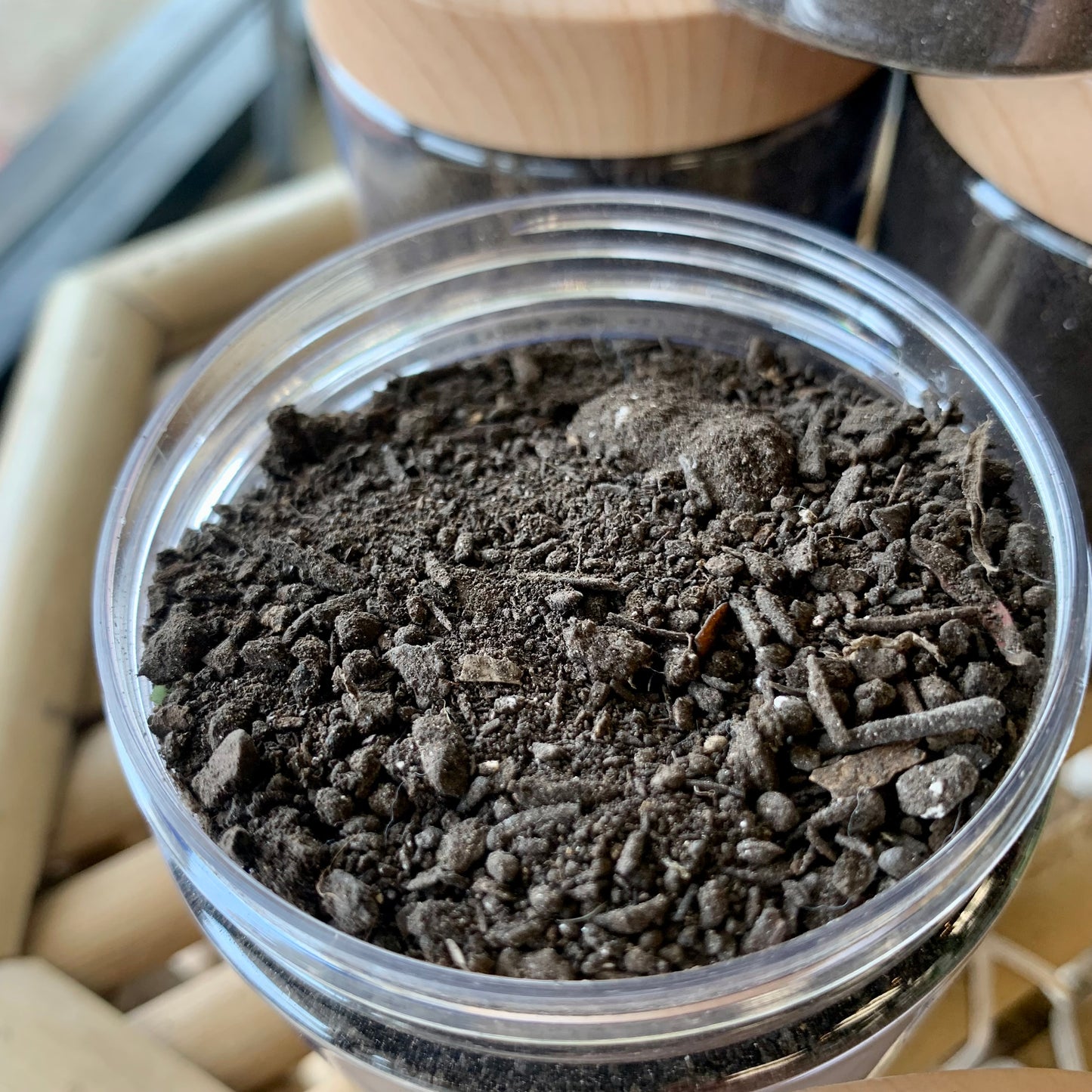 Pure Earthworm Castings Superfood