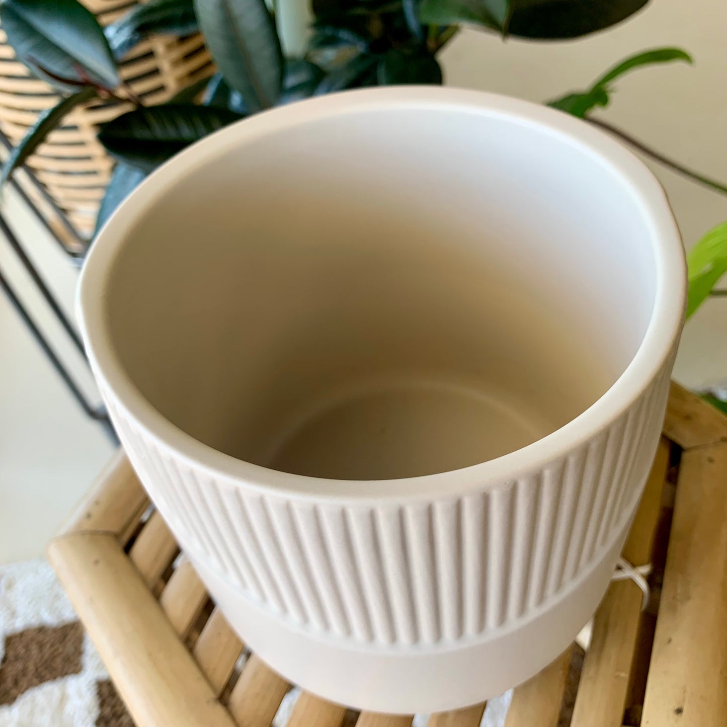 Halen Pot