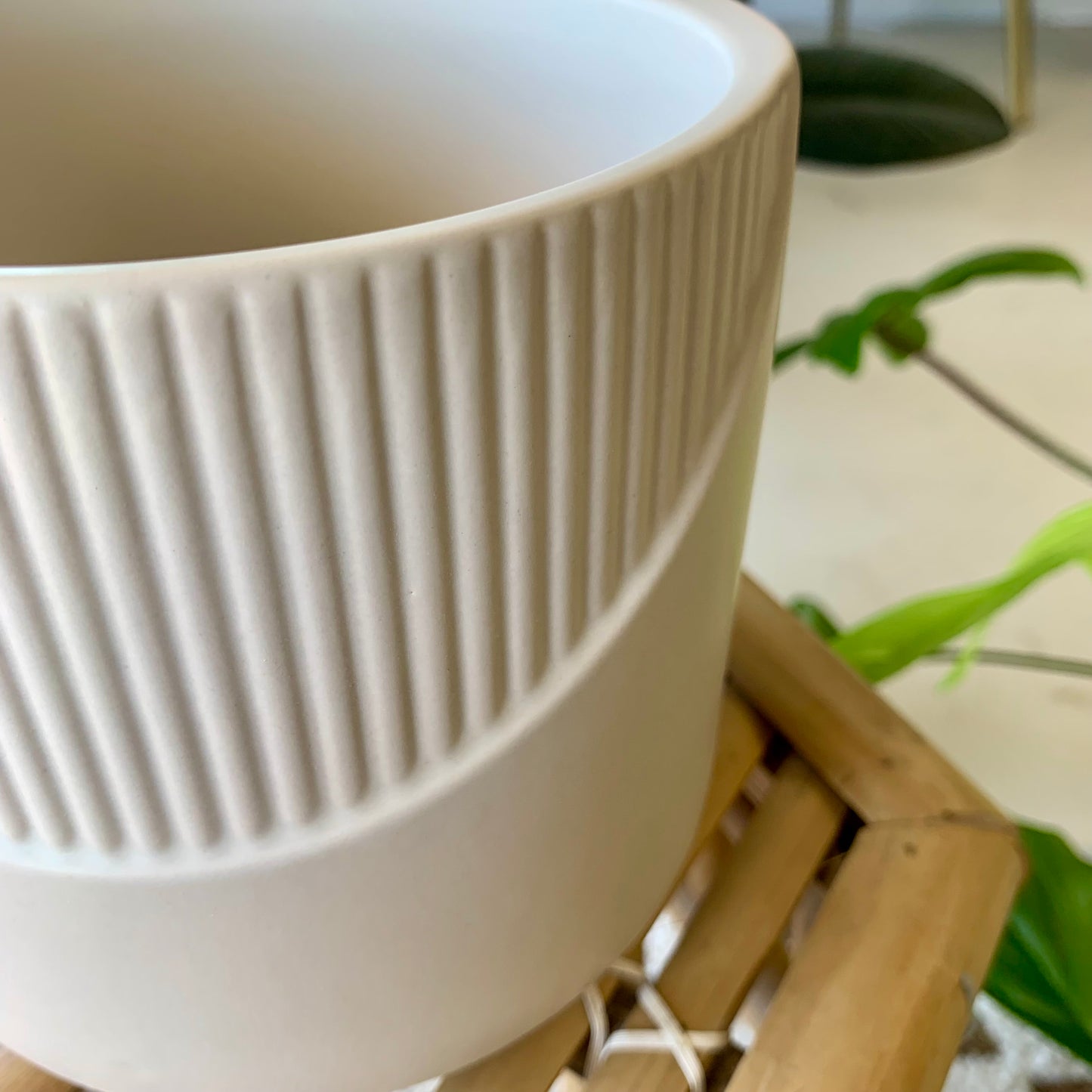 Halen Pot