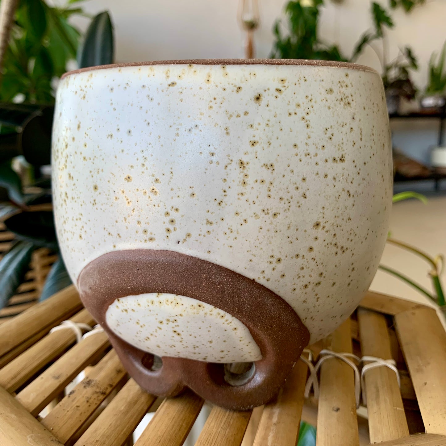 Omni Footed Pot