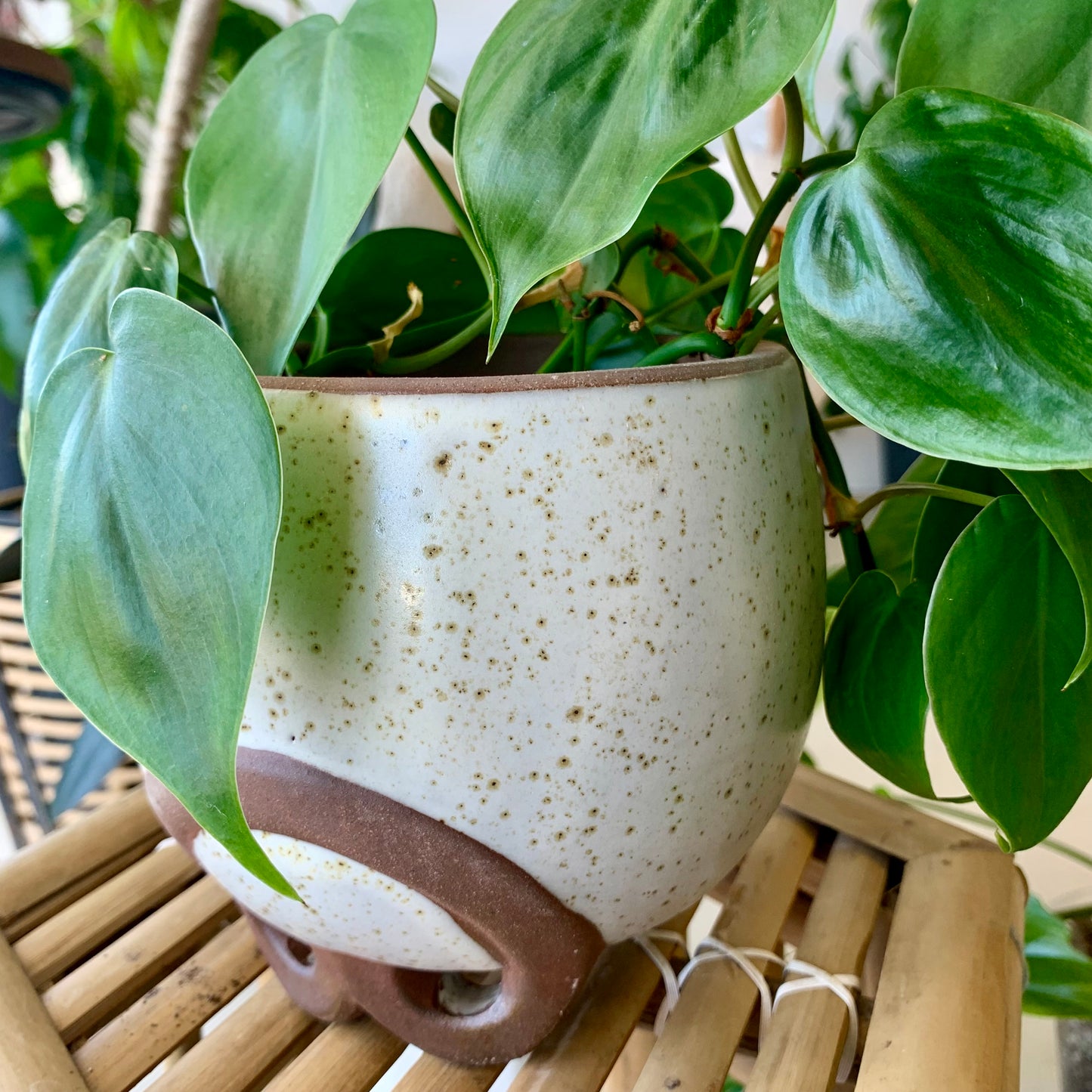 Omni Footed Pot