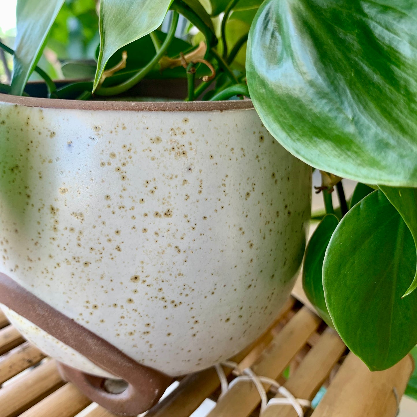 Omni Footed Pot