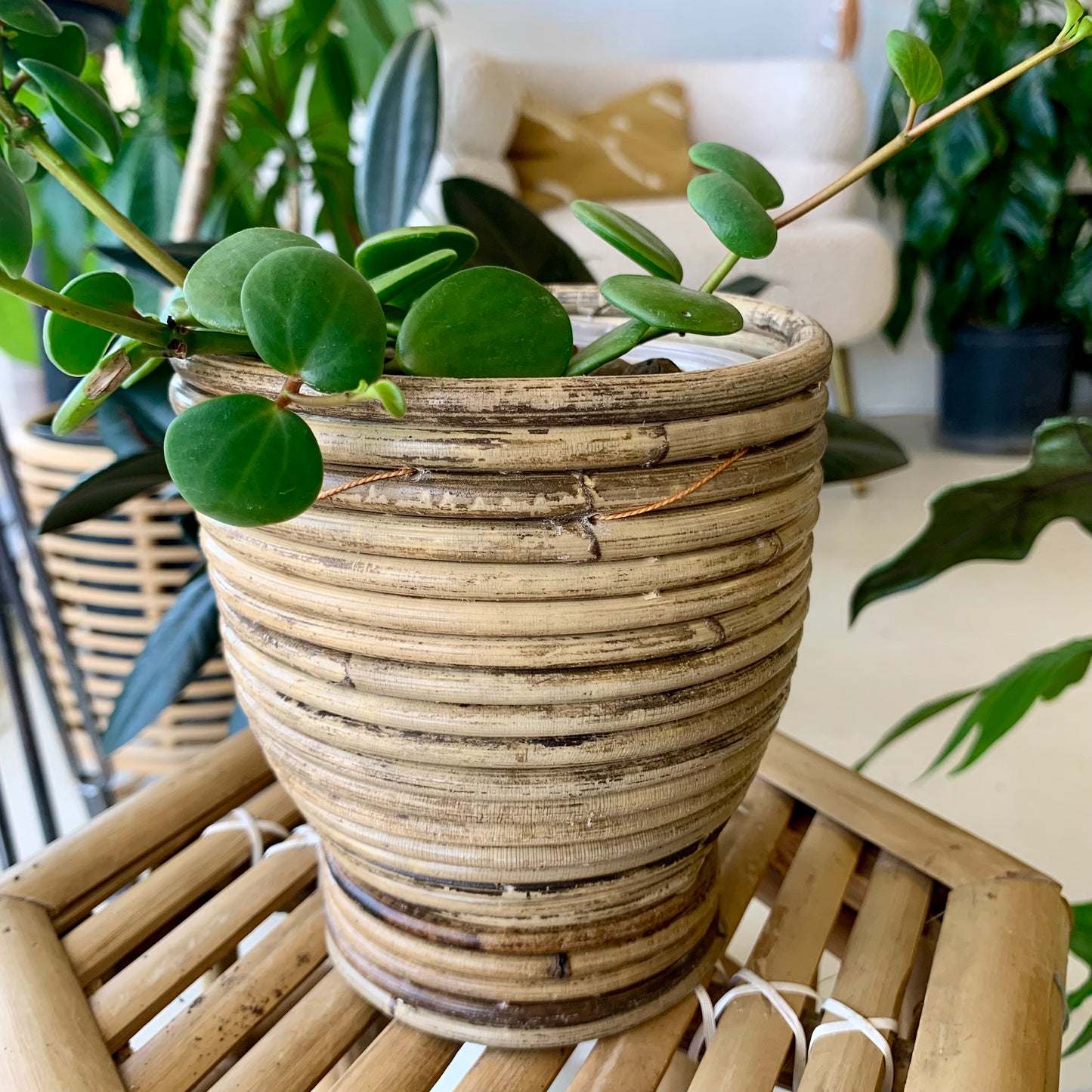 Footed Aroon Pot