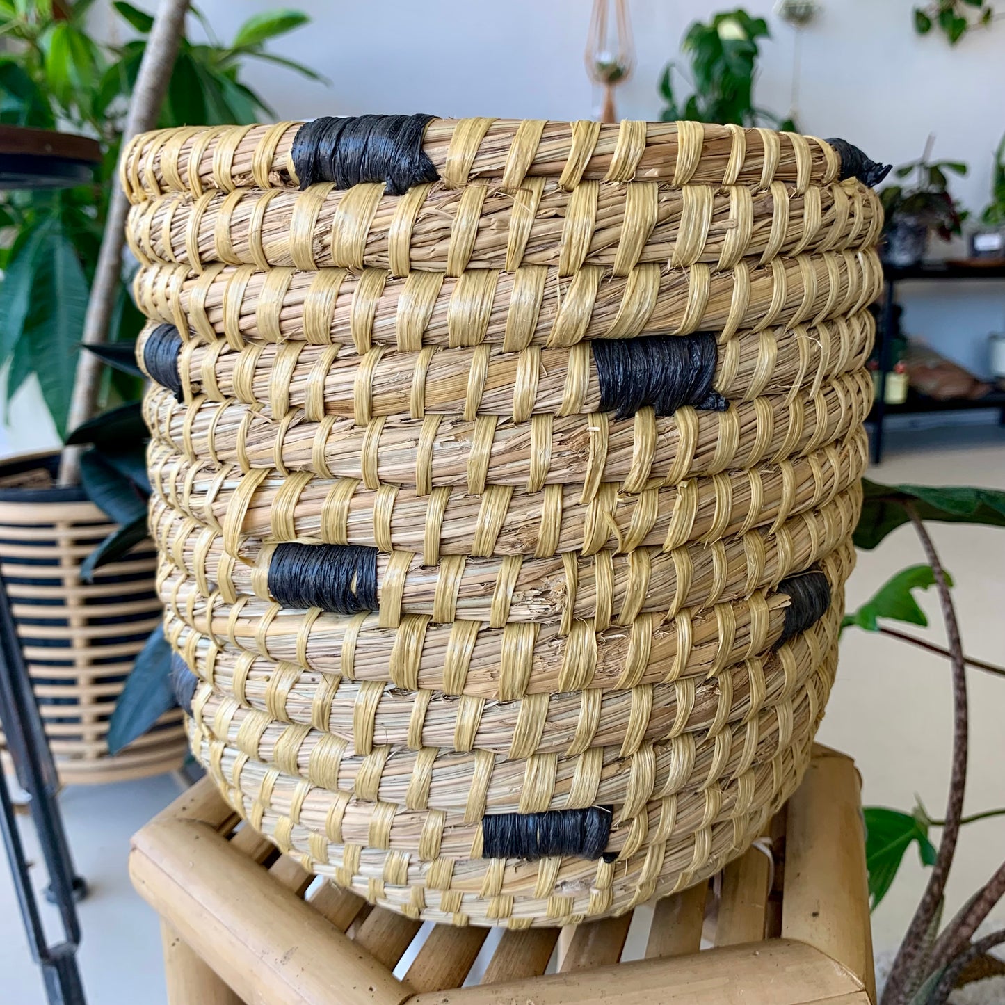 Tejida Basket