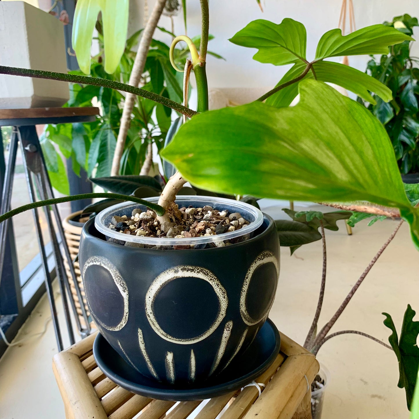 Hootie Hoo Pot