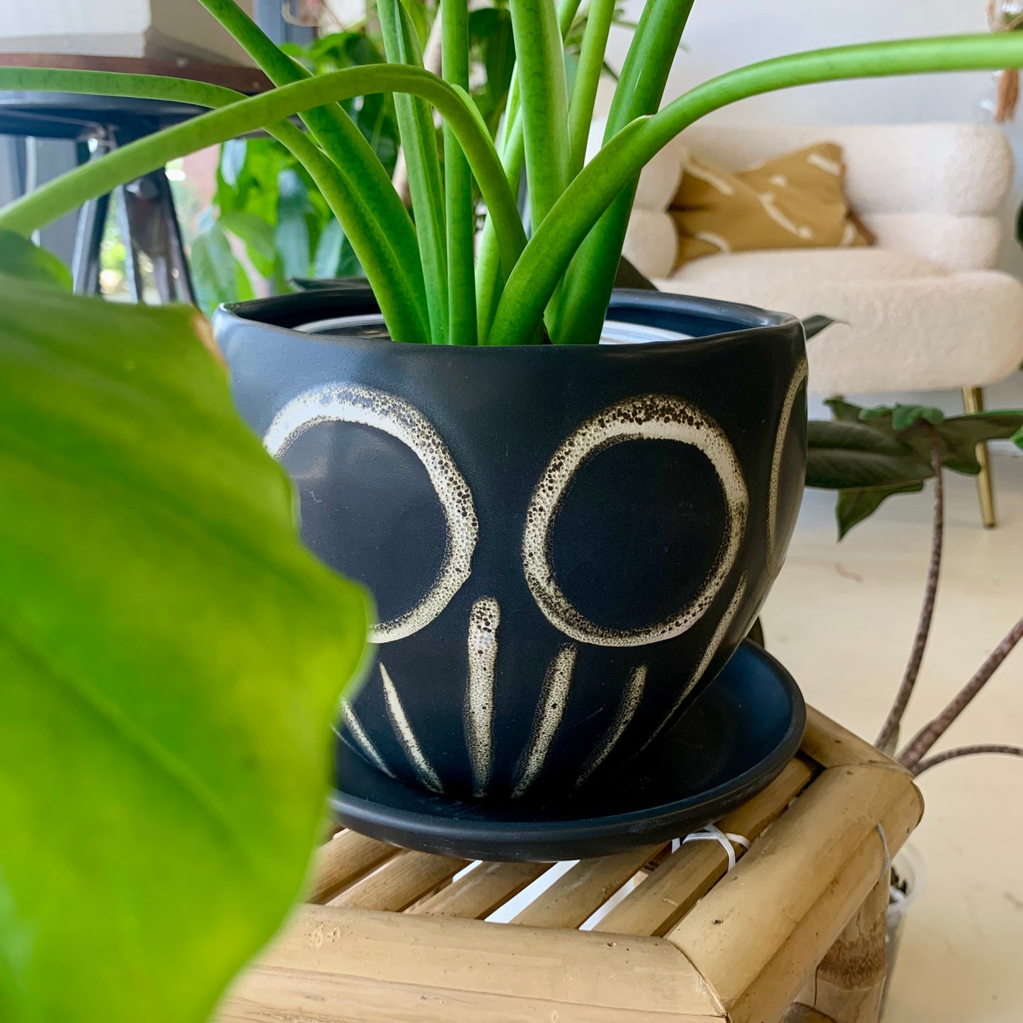 Hootie Hoo Pot