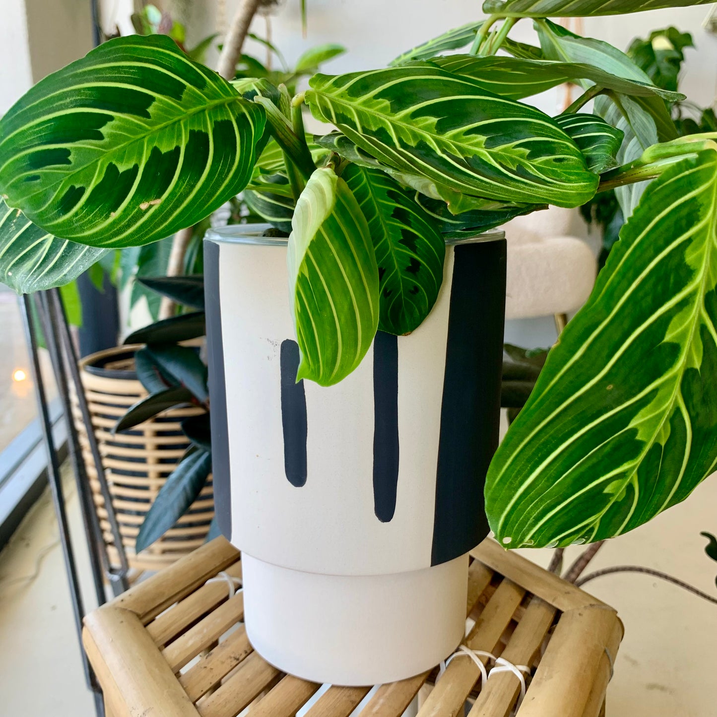 Trabar Pot