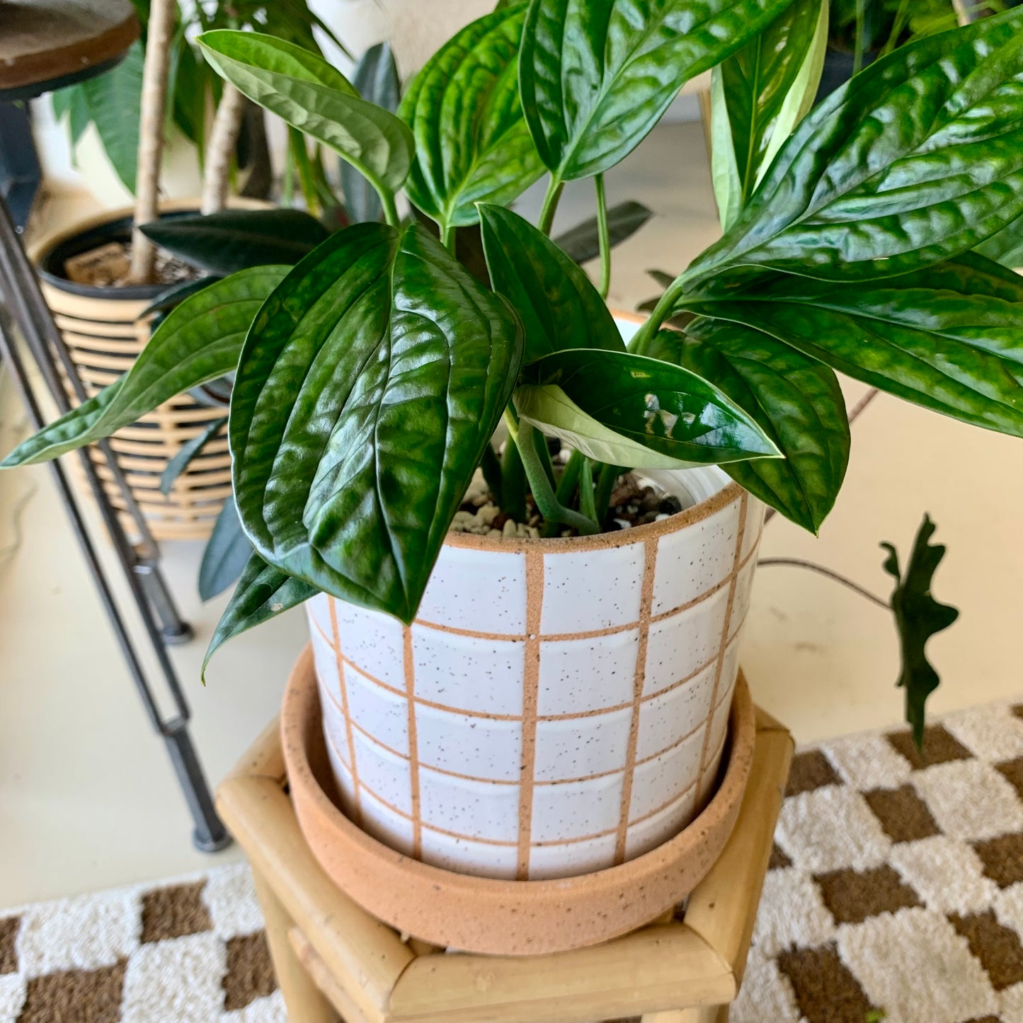 Grid Line Pot