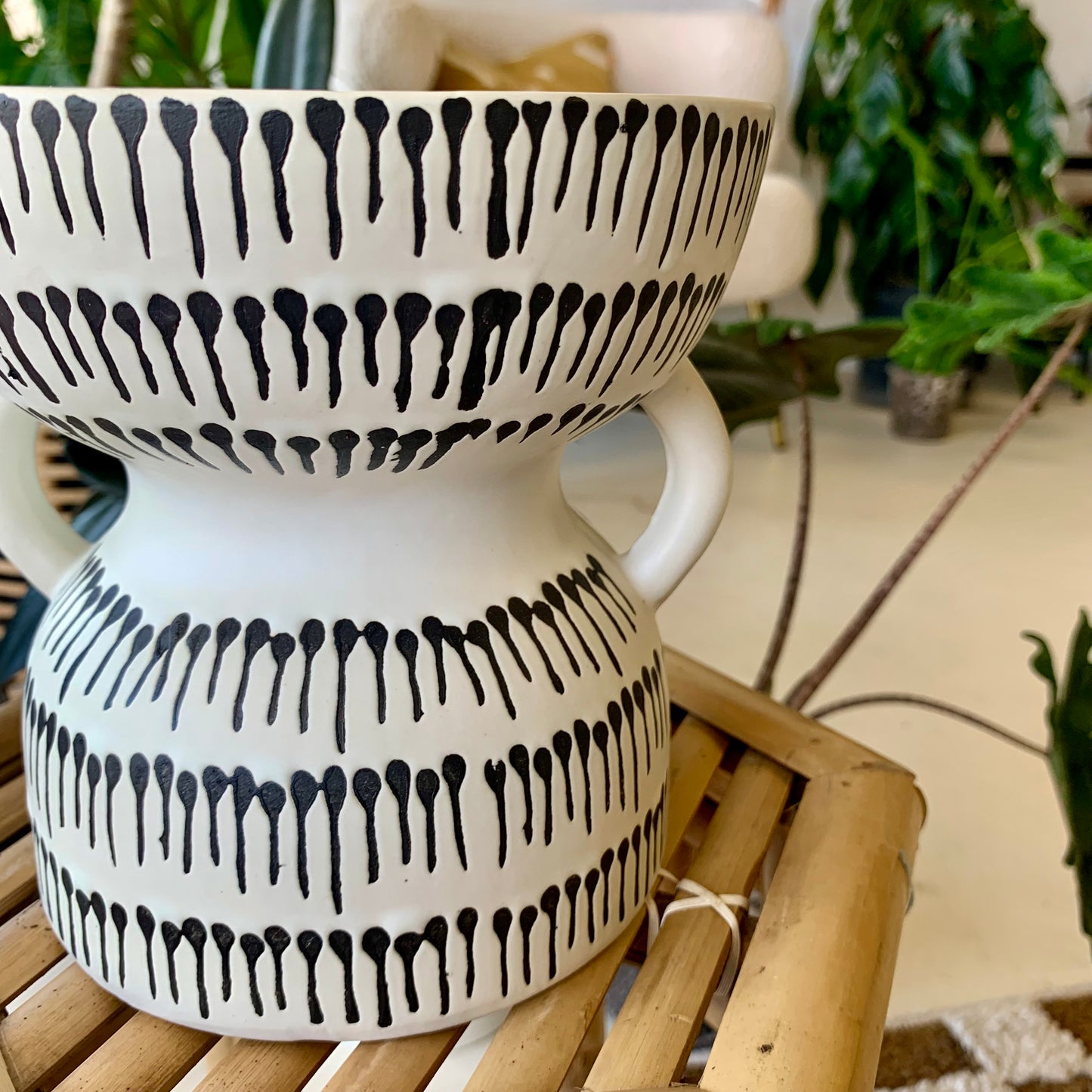 Amazon Pot