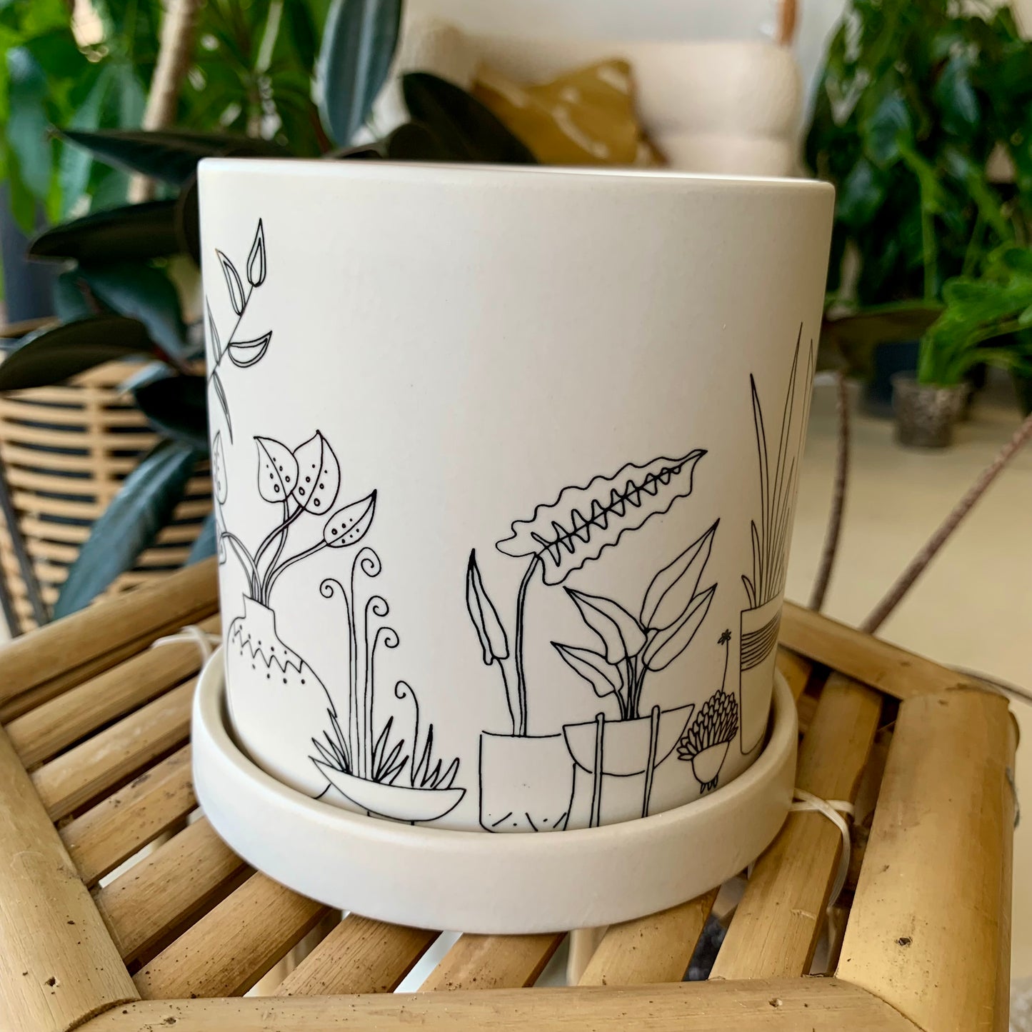 Plant Lady Pot