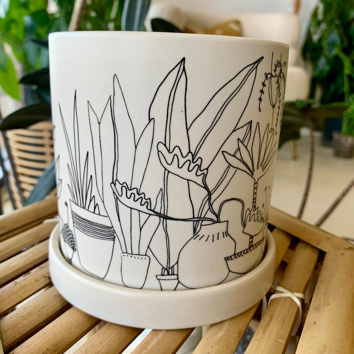 Plant Lady Pot