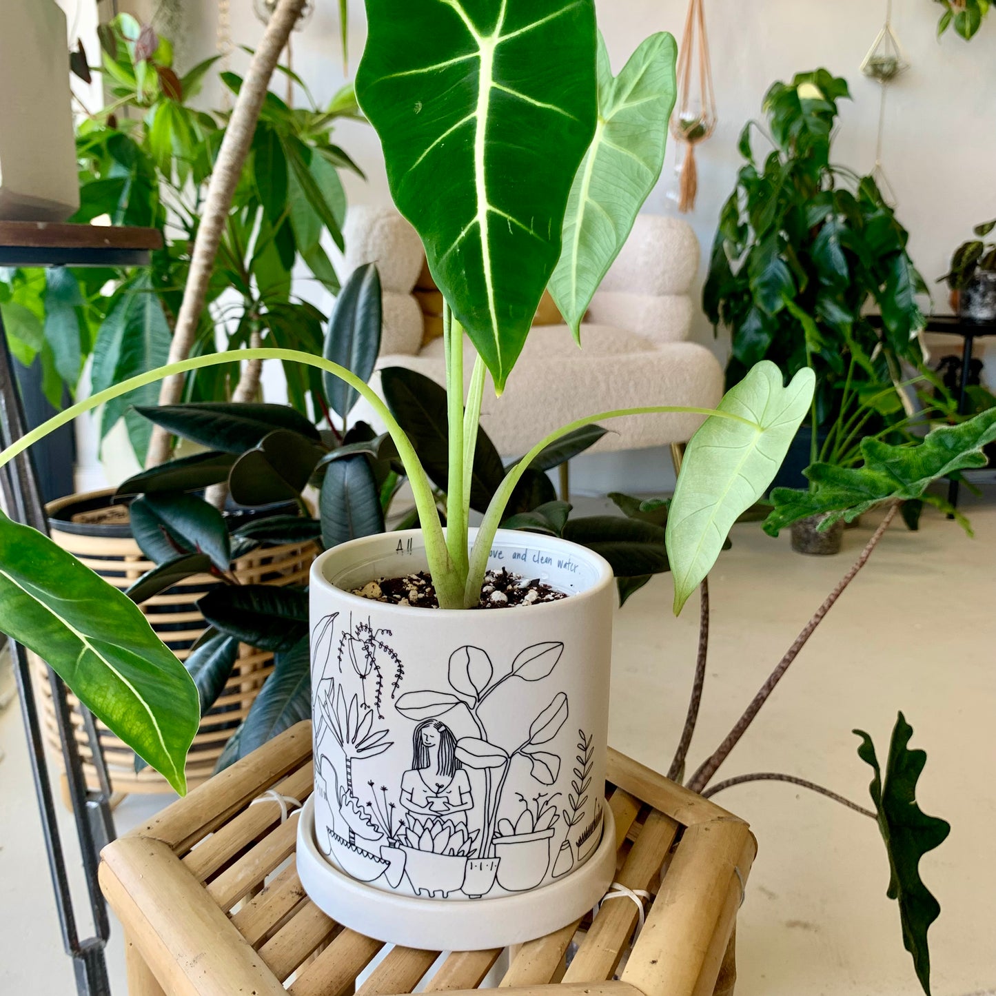 Plant Lady Pot