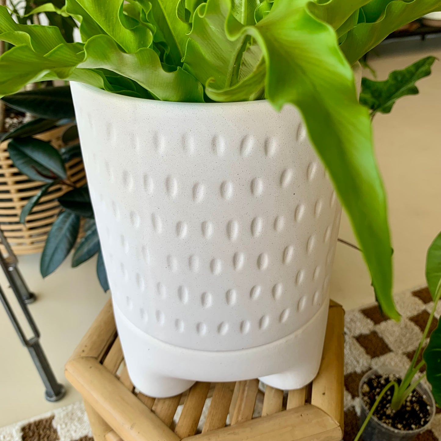 Dache Pot with Saucer