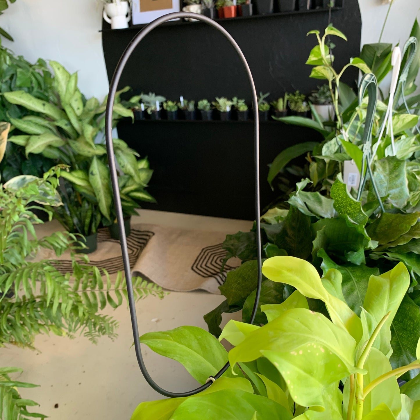 Black Metal Trellis