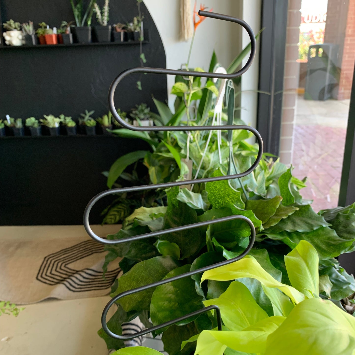 Black Metal Trellis