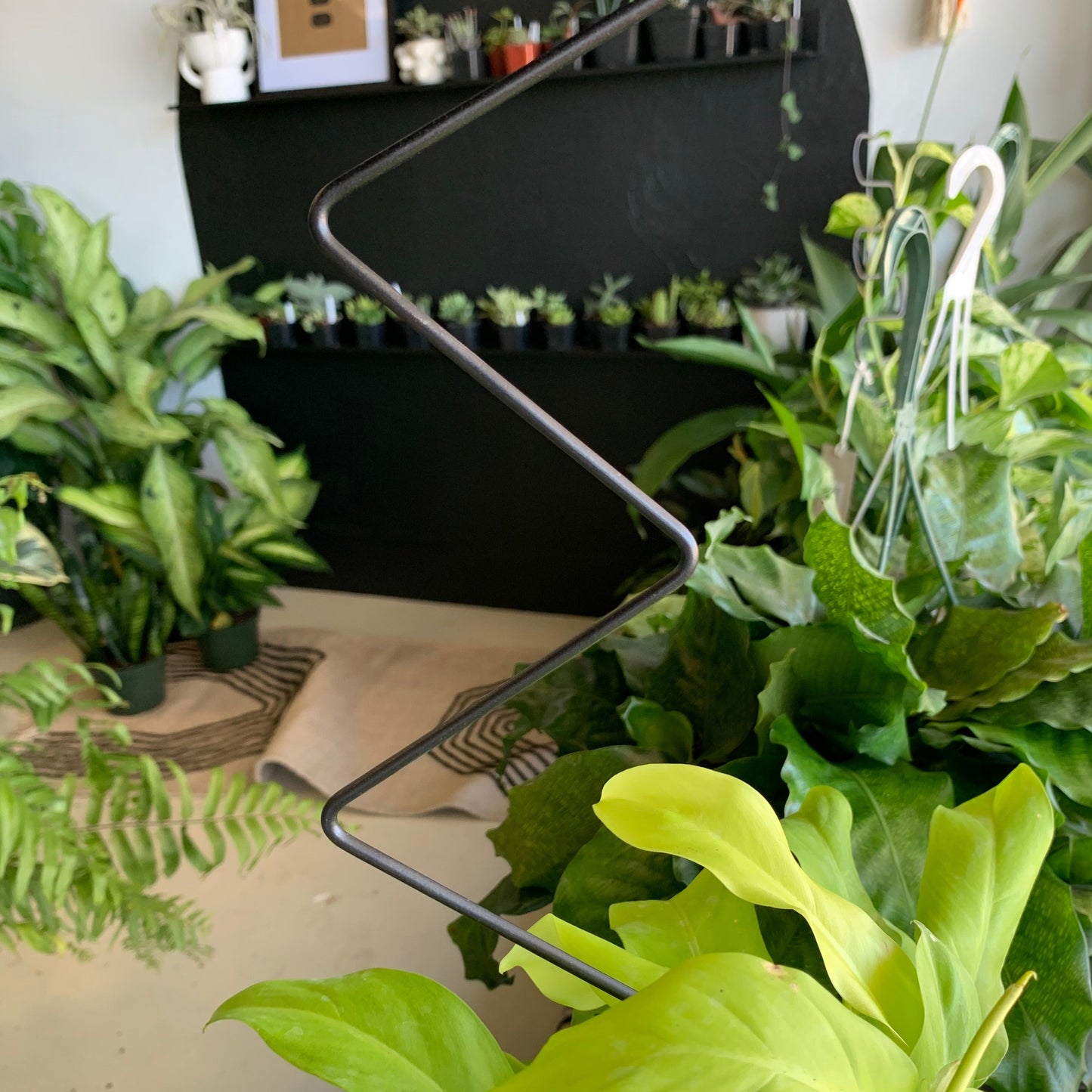 Black Metal Trellis