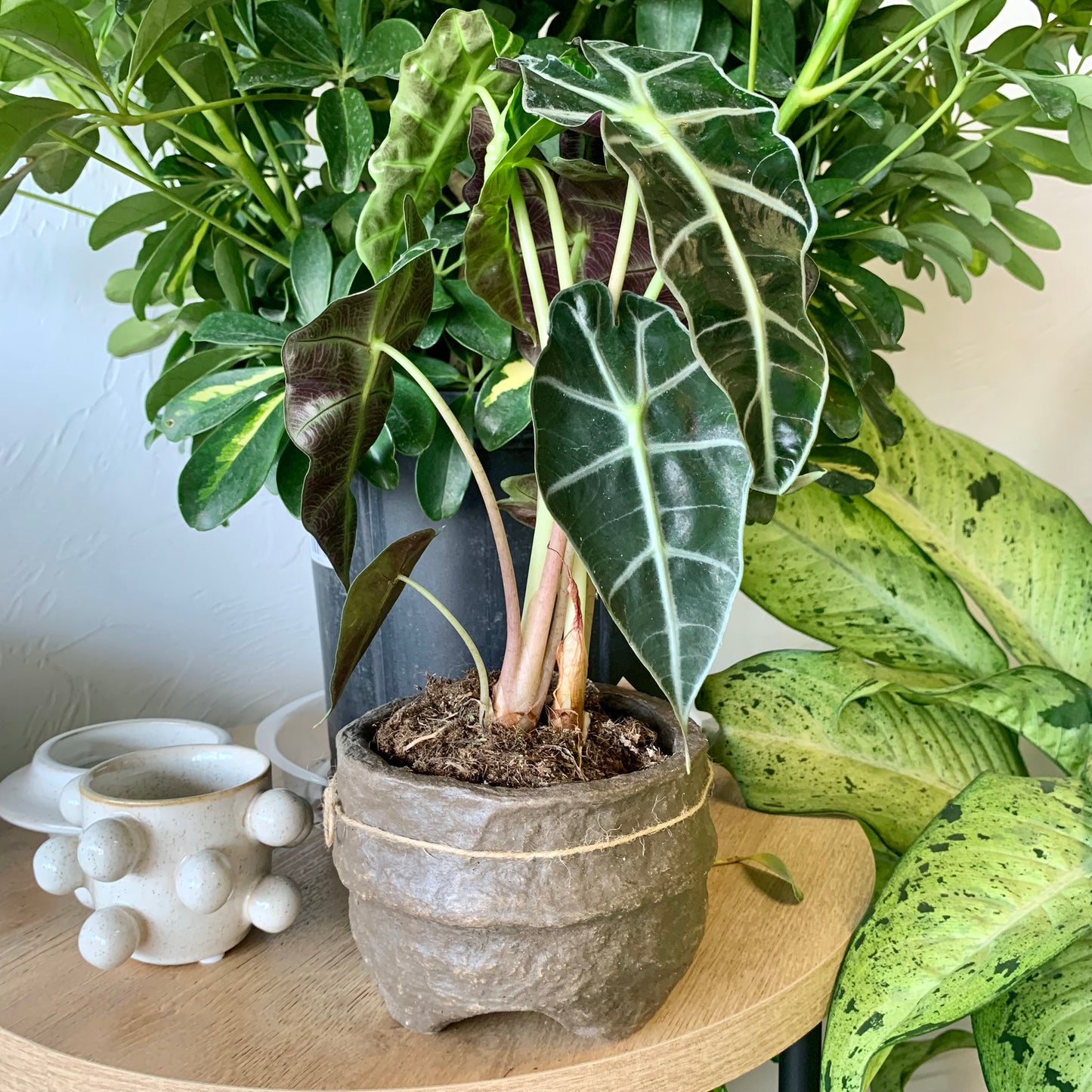 Paper Mache Footed Bowl