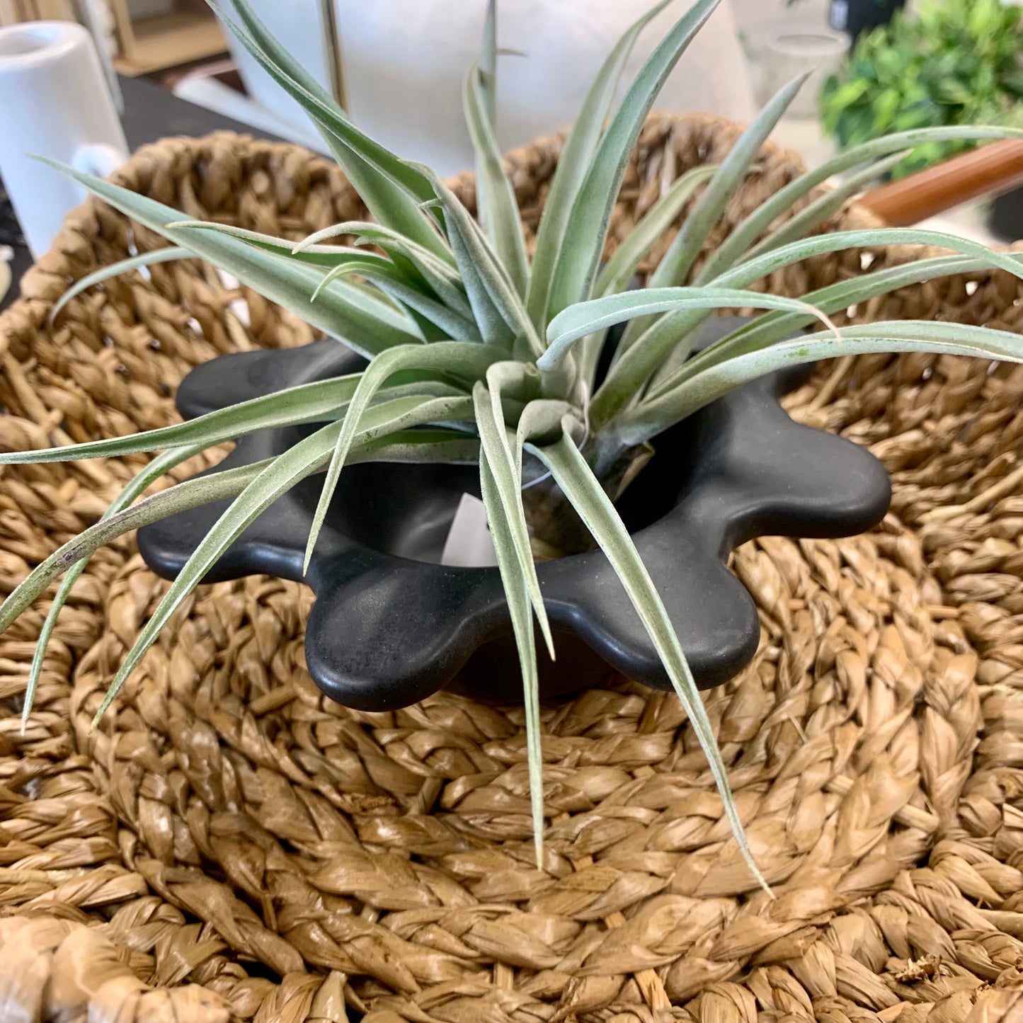 Matte Black Abstract Bowl