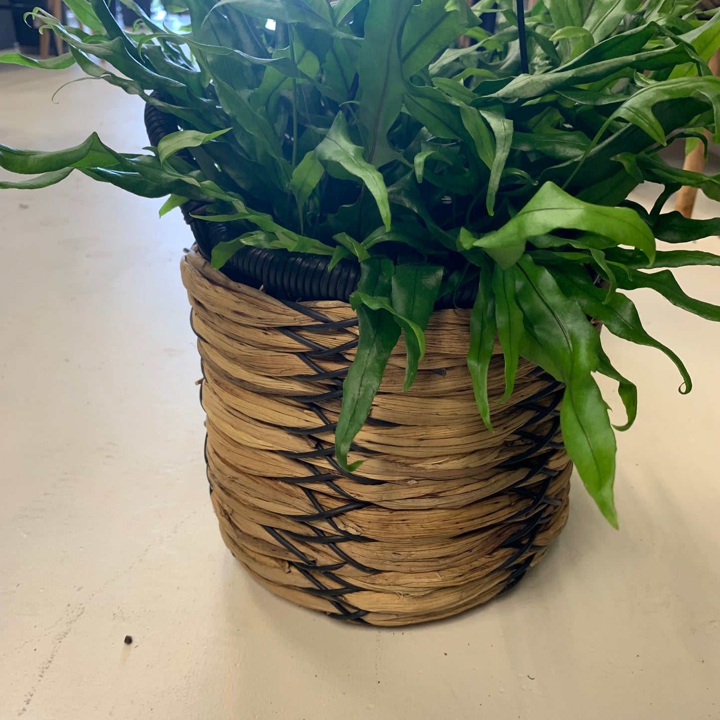Natural Woven Basket