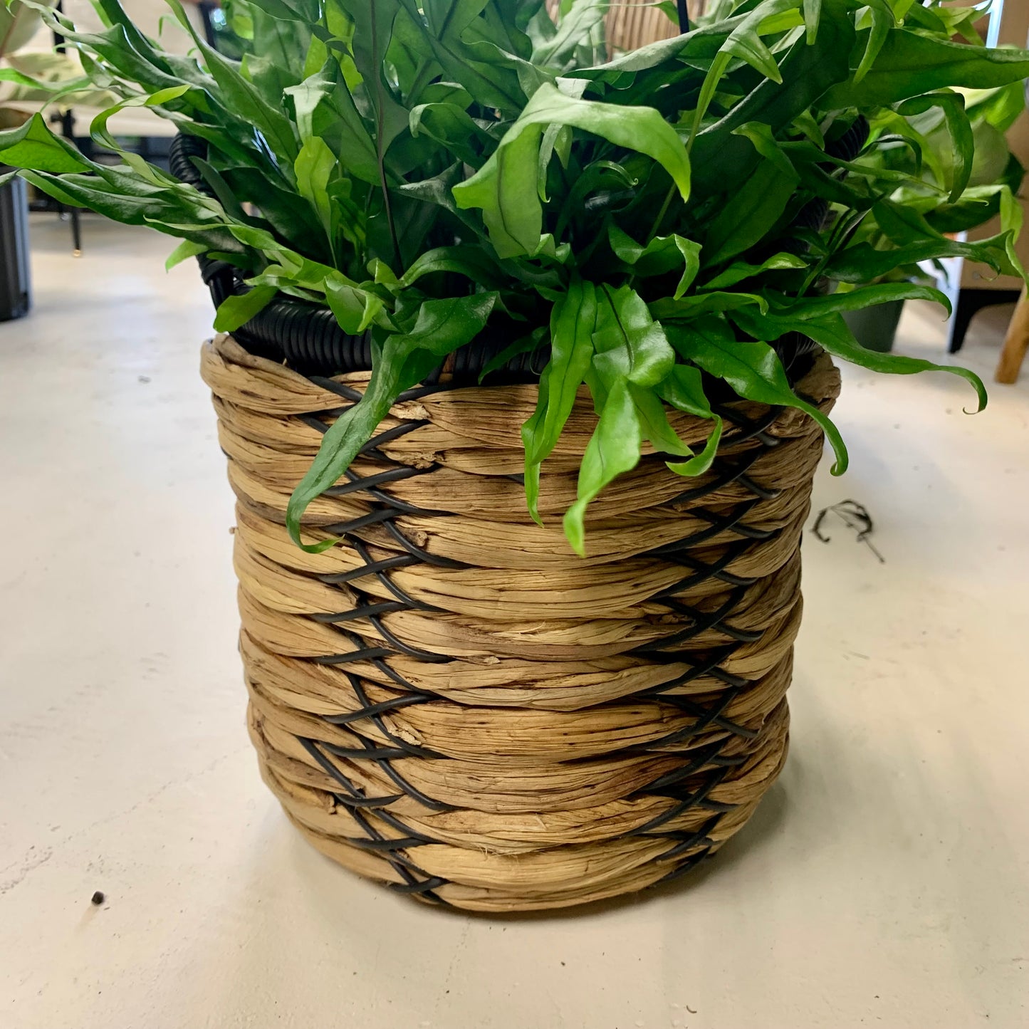 Natural Woven Basket