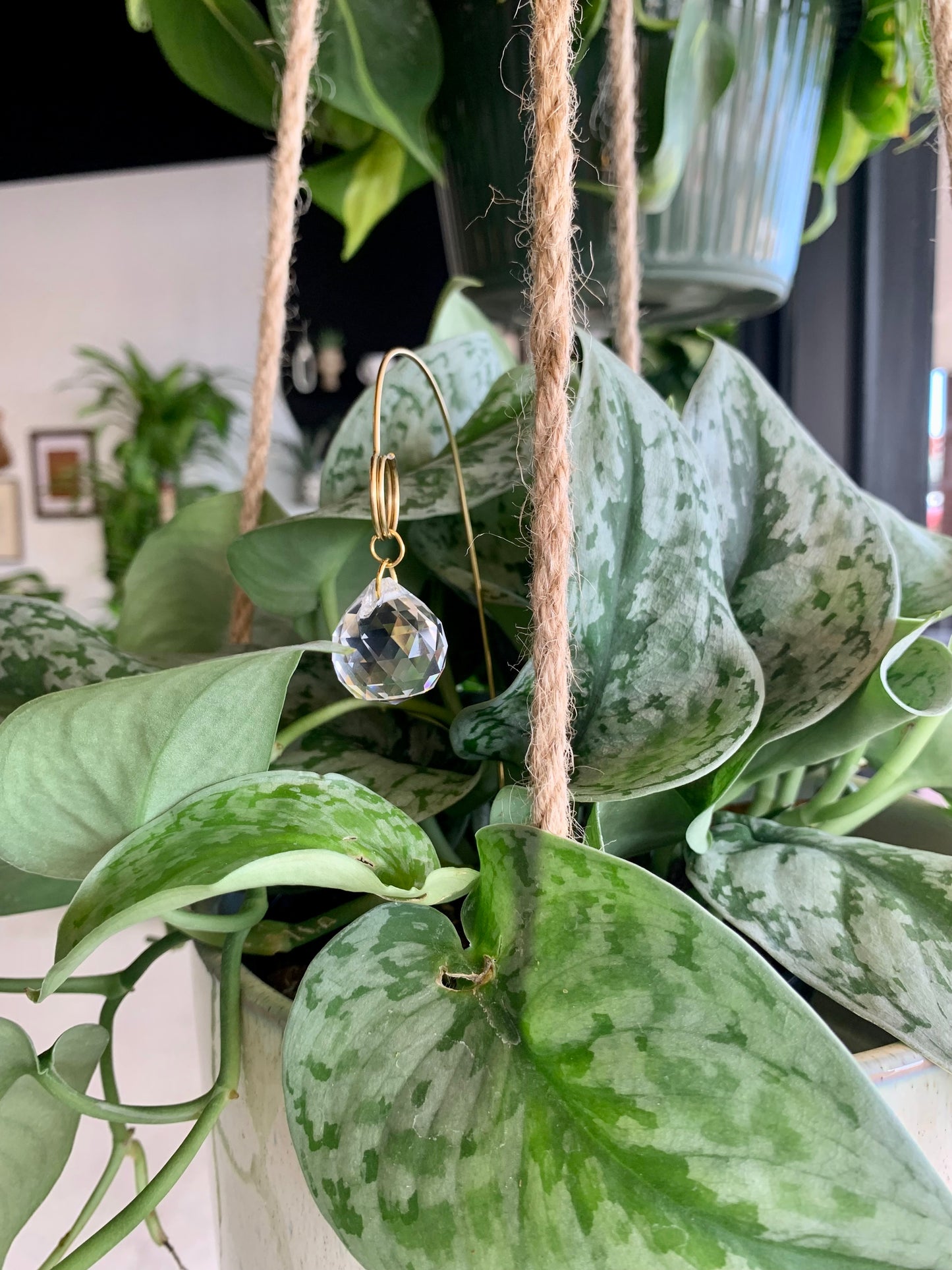 Crystal Ball Plant Jewelry