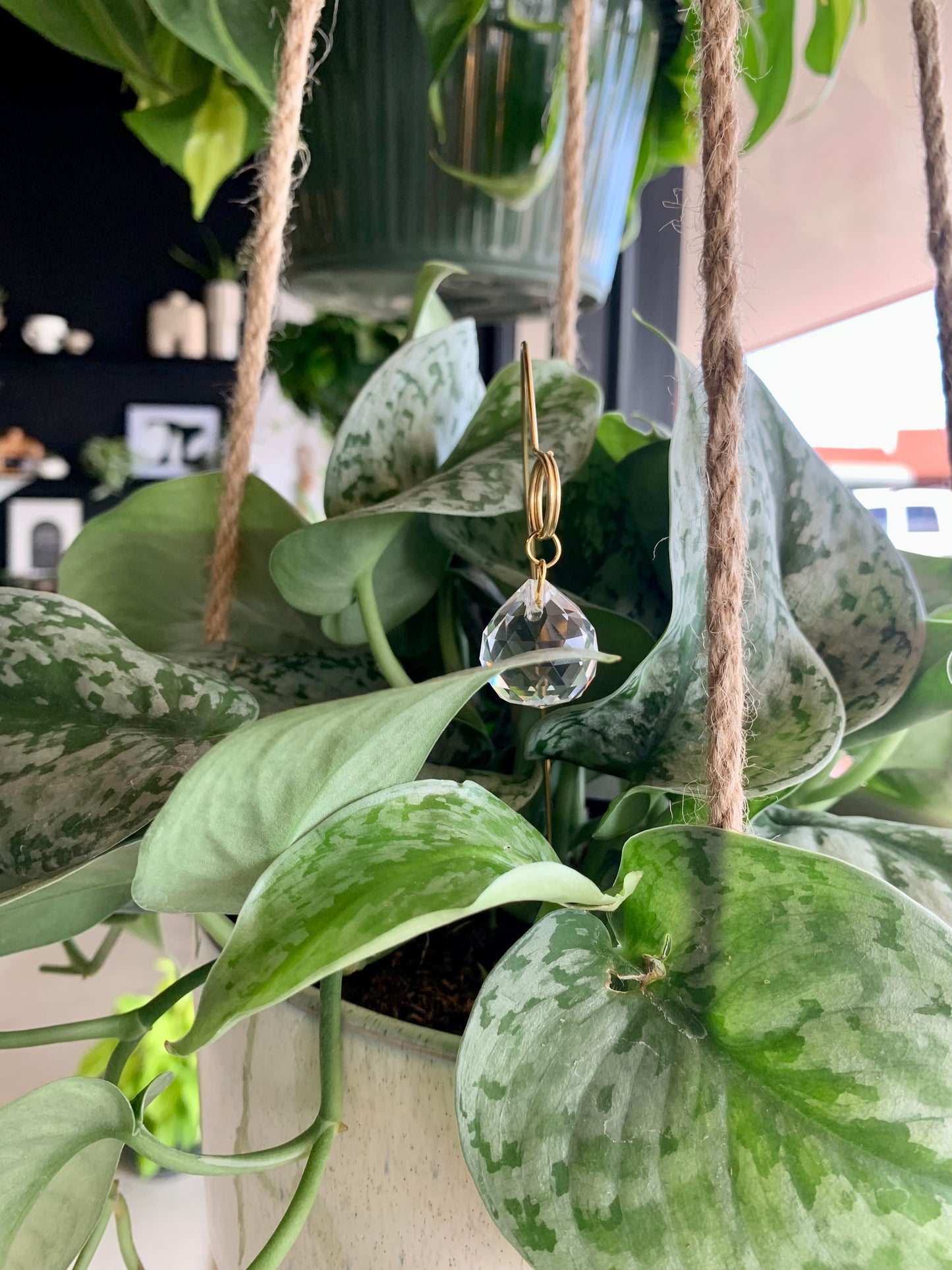 Crystal Ball Plant Jewelry