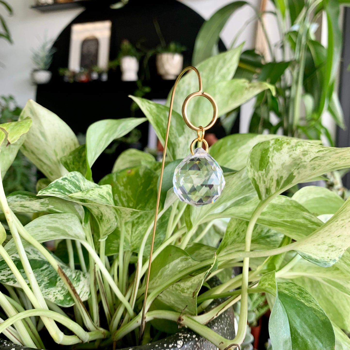 Crystal Ball Plant Jewelry