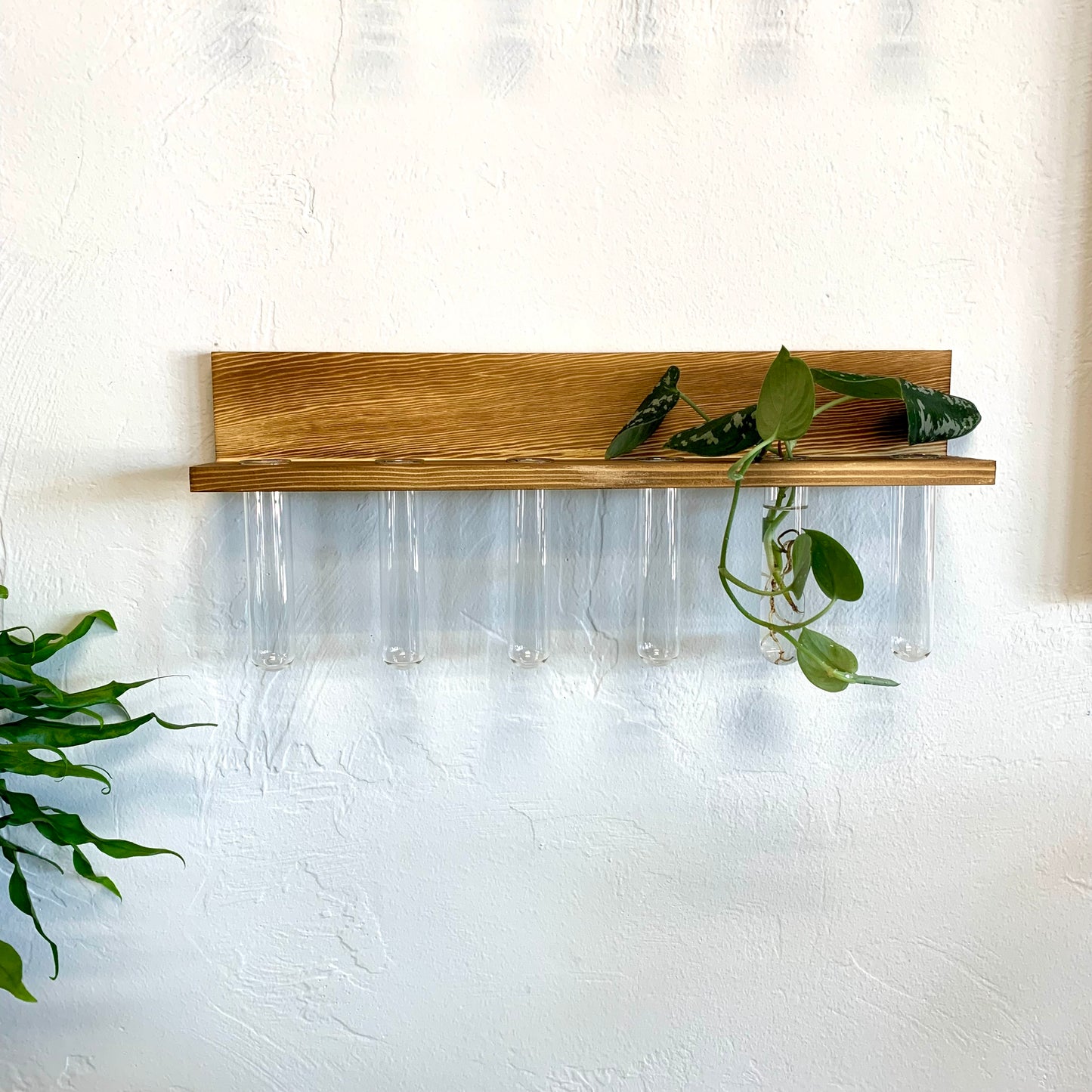 Wall Hanging Propagation