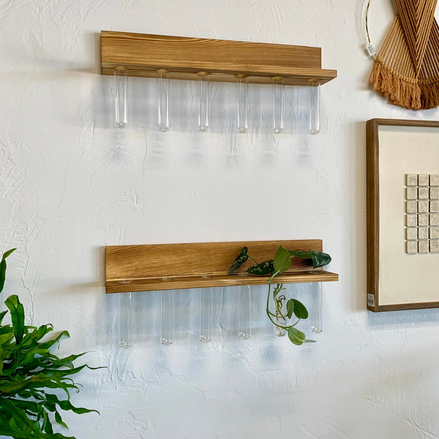 Wall Hanging Propagation