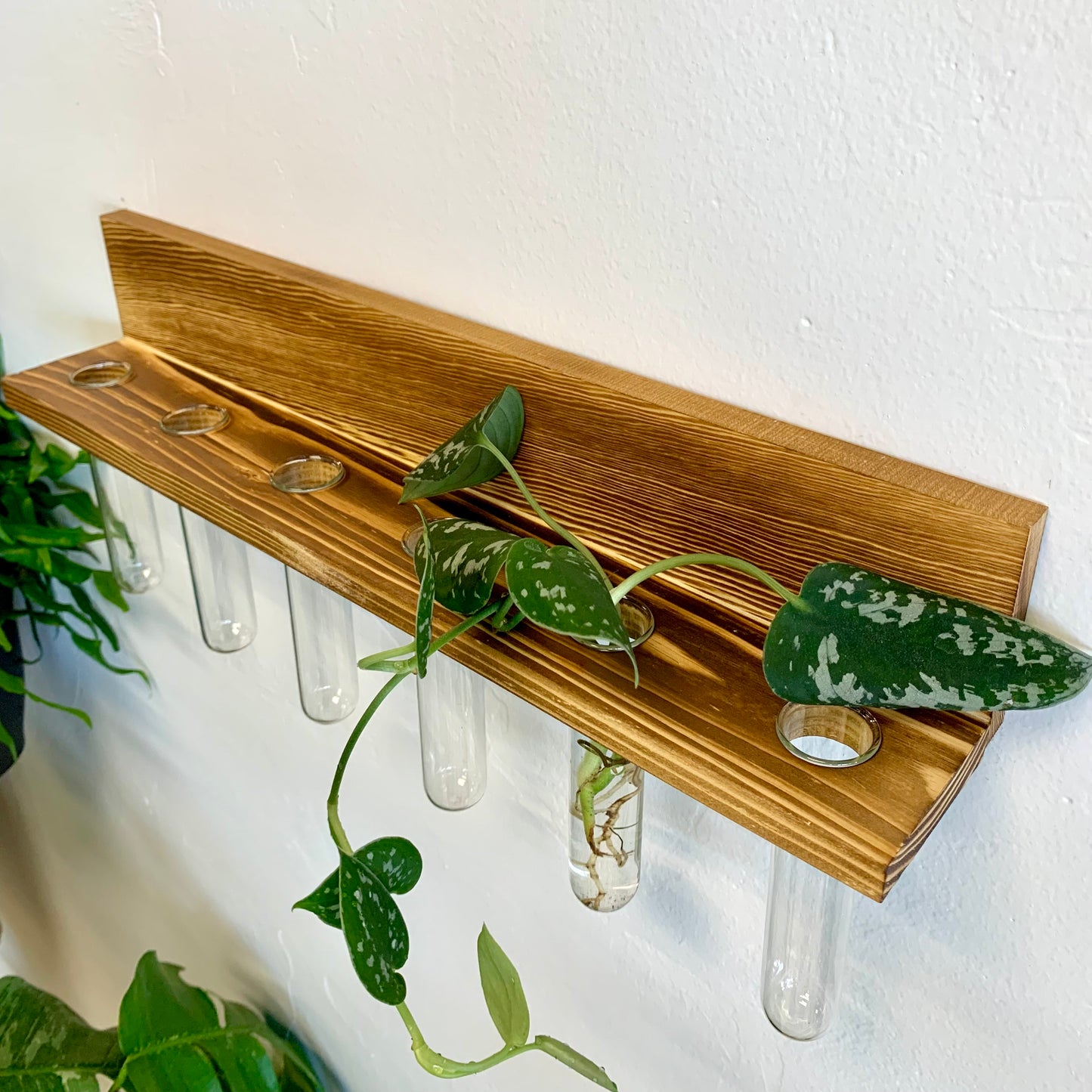 Wall Hanging Propagation