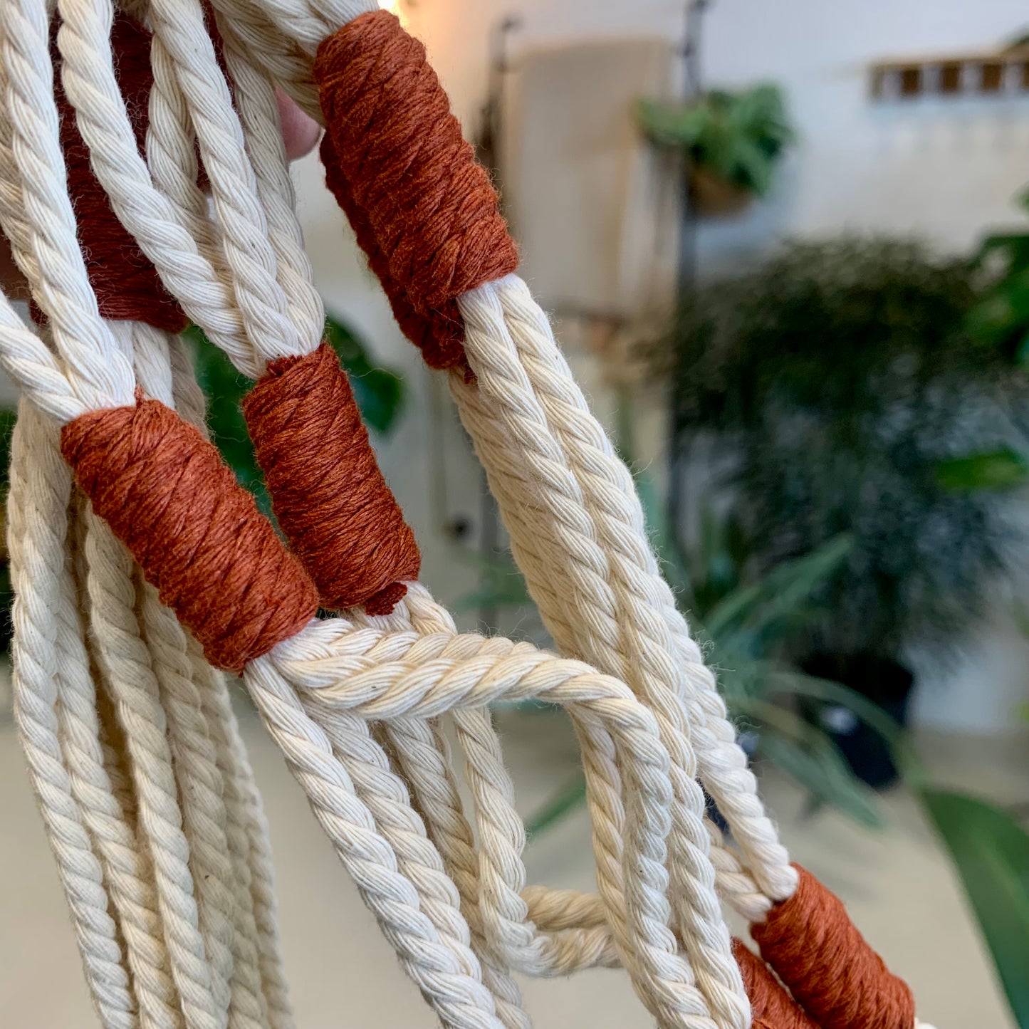 Modern Macrame Plant Hanger
