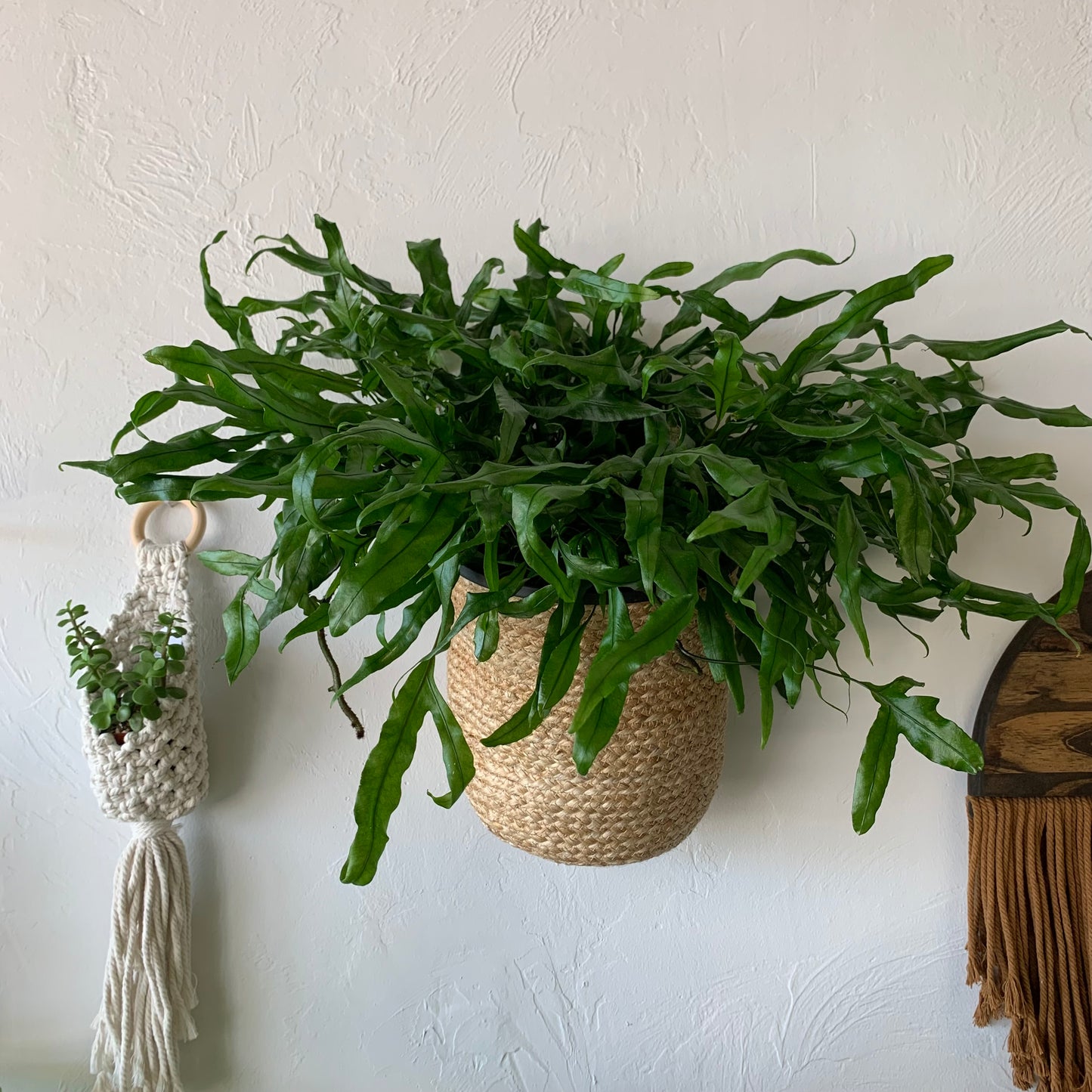 Jute Hanging Basket