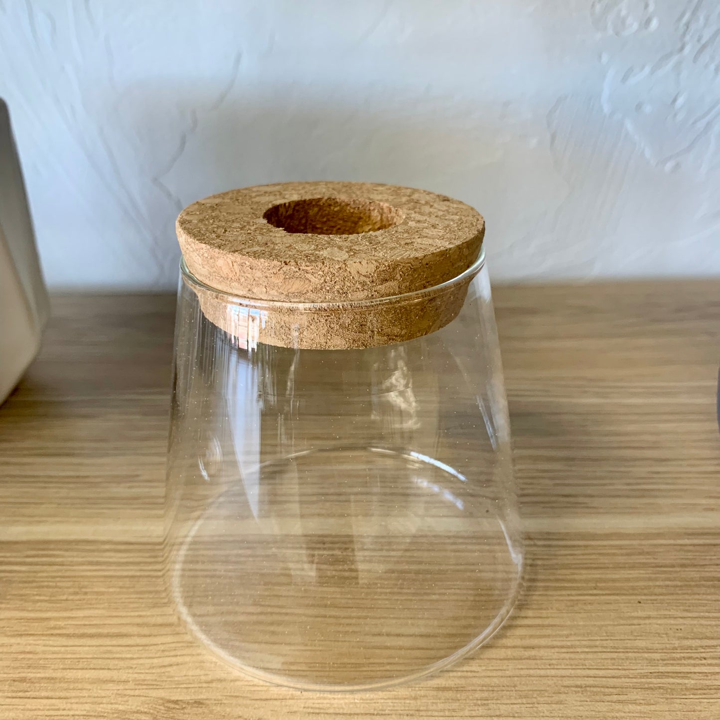 Propagation Vase