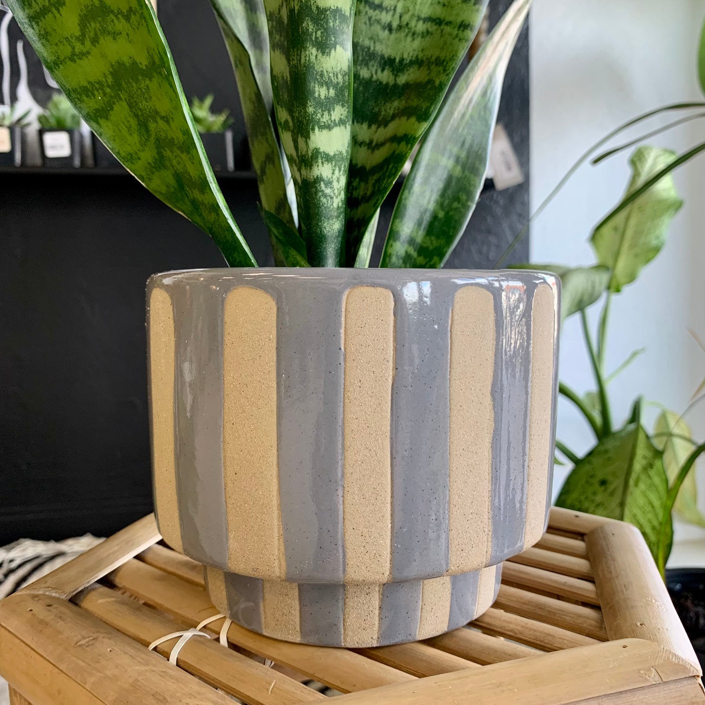 Striped Stoneware Planter