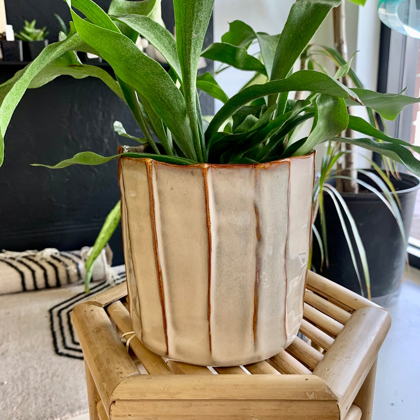 Stoneware Pleated Planter