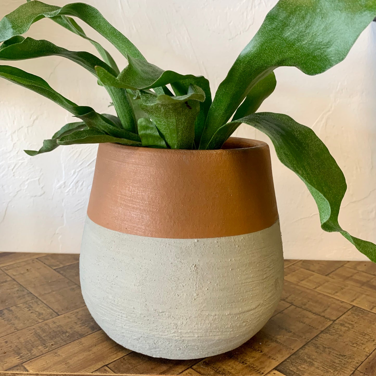 Colorblock Terracotta & Cement Planter