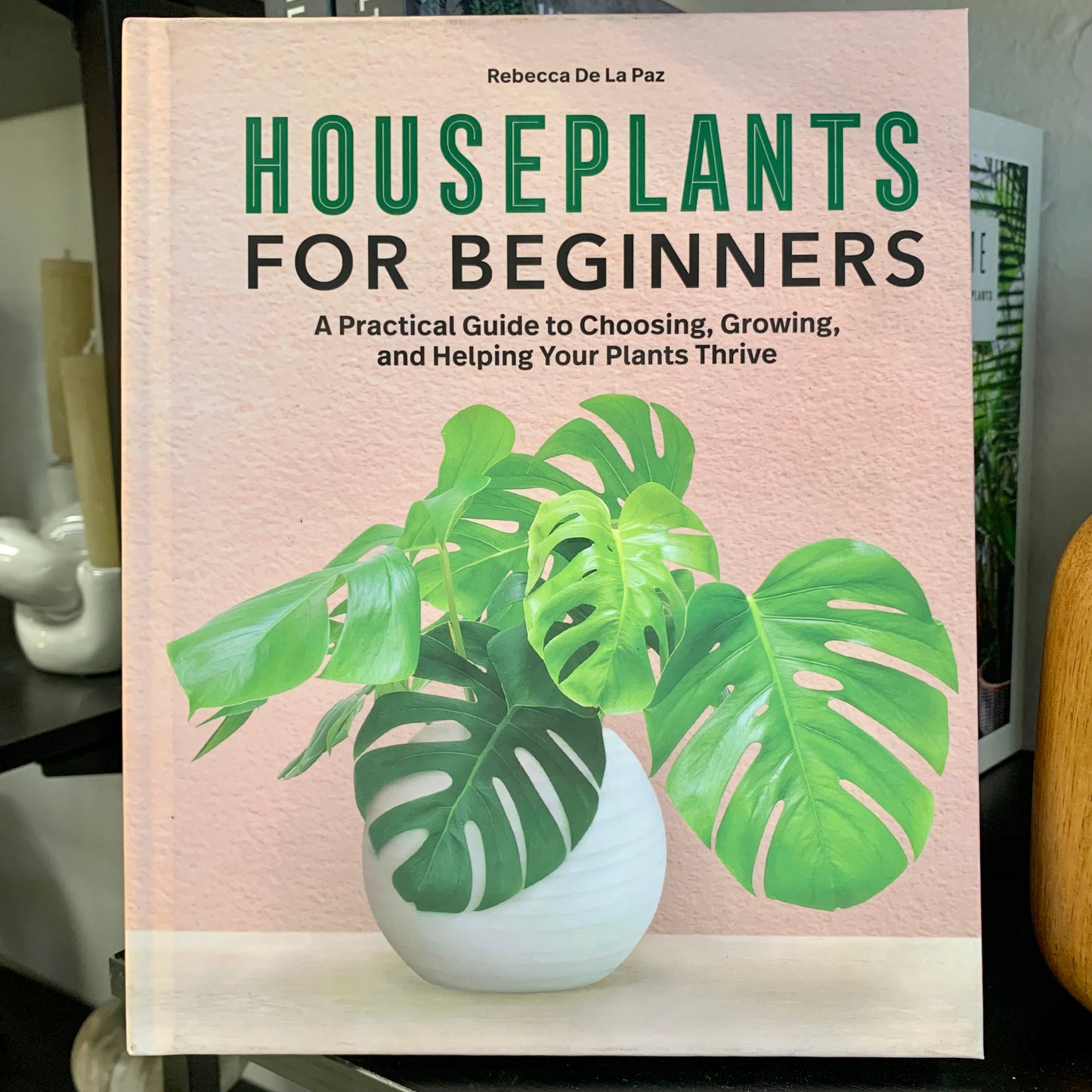 Houseplants for Beginners Book