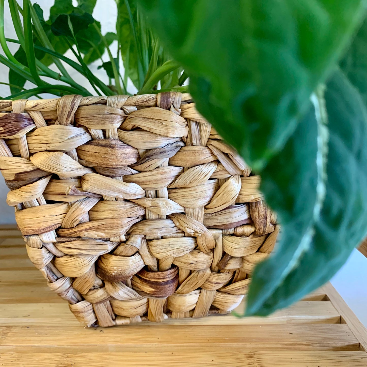 Seagrass Basket