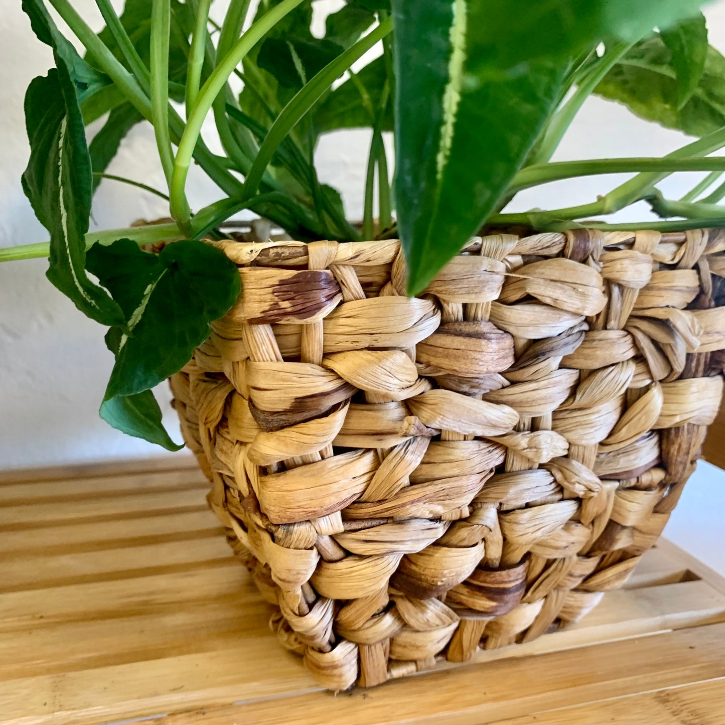 Seagrass Basket