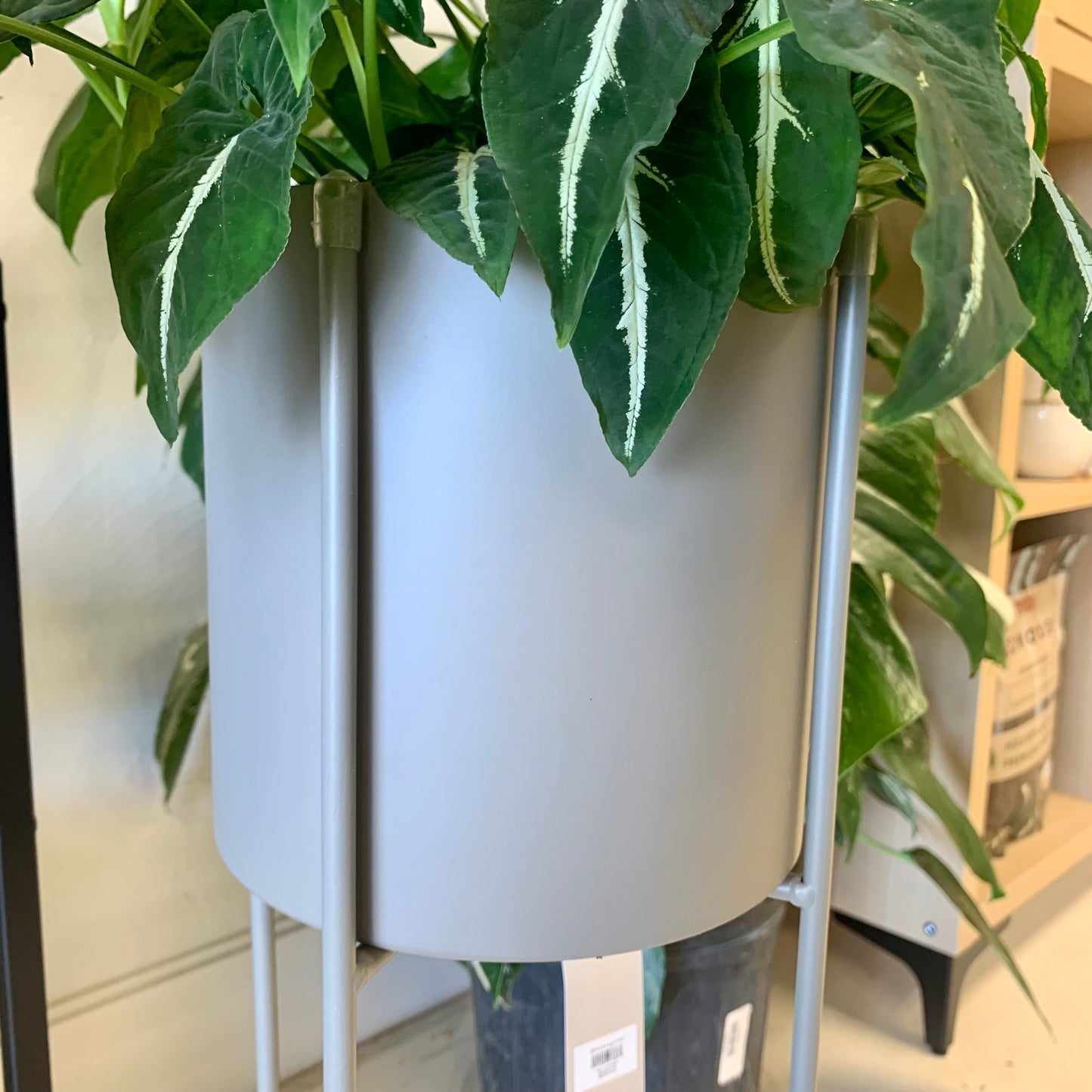 Gray Metal Planter with Stand