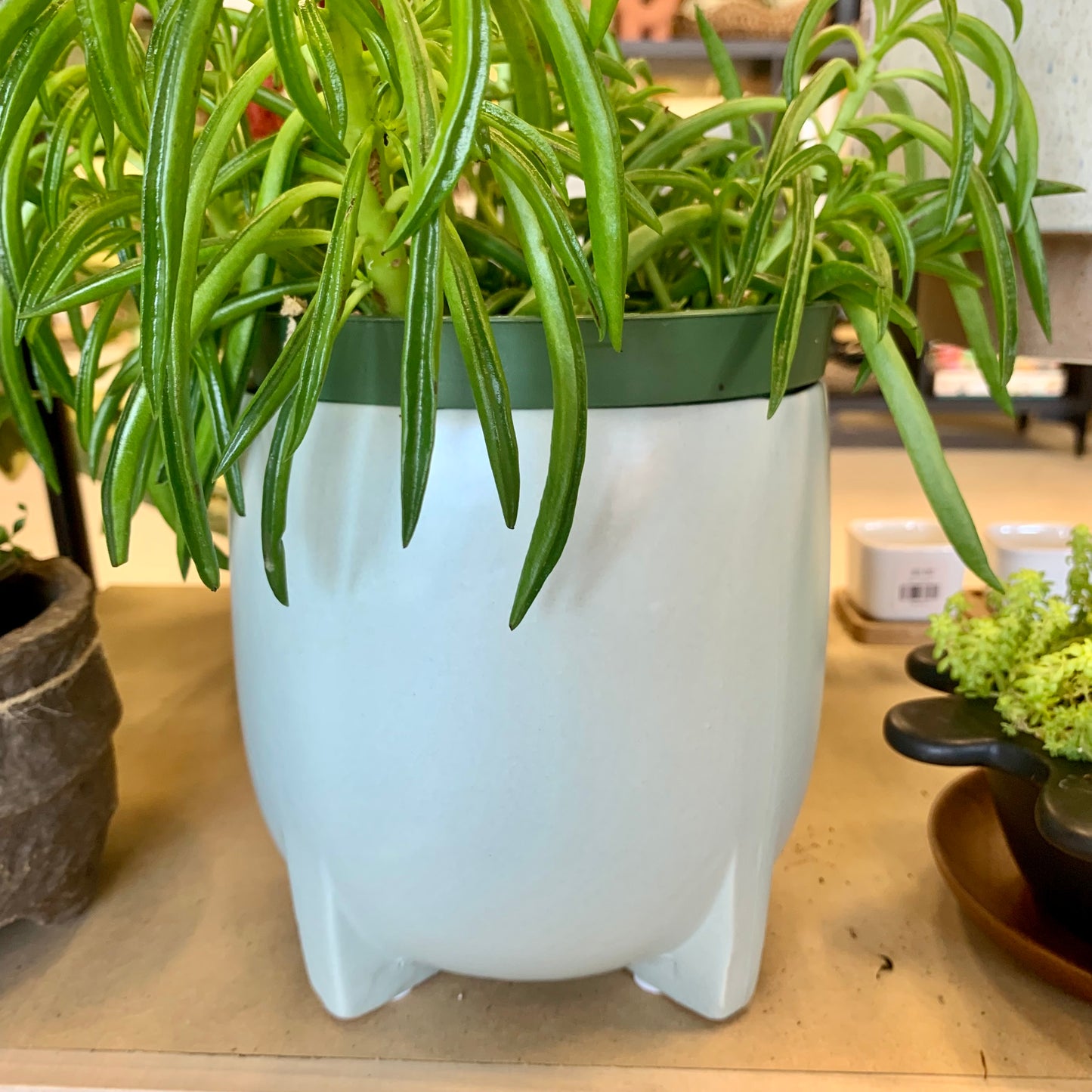 Sea-Green Planter